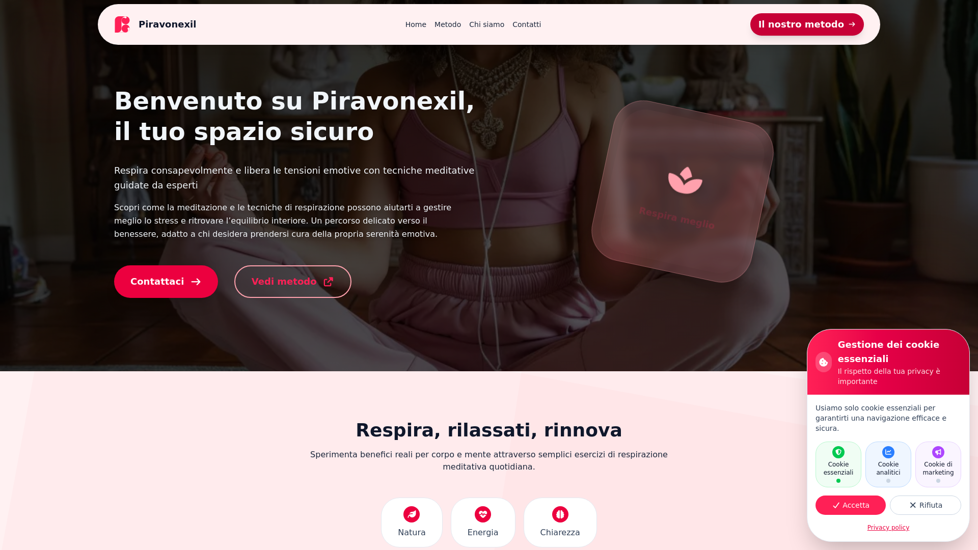 website screenshot of https://piravonexil.com/