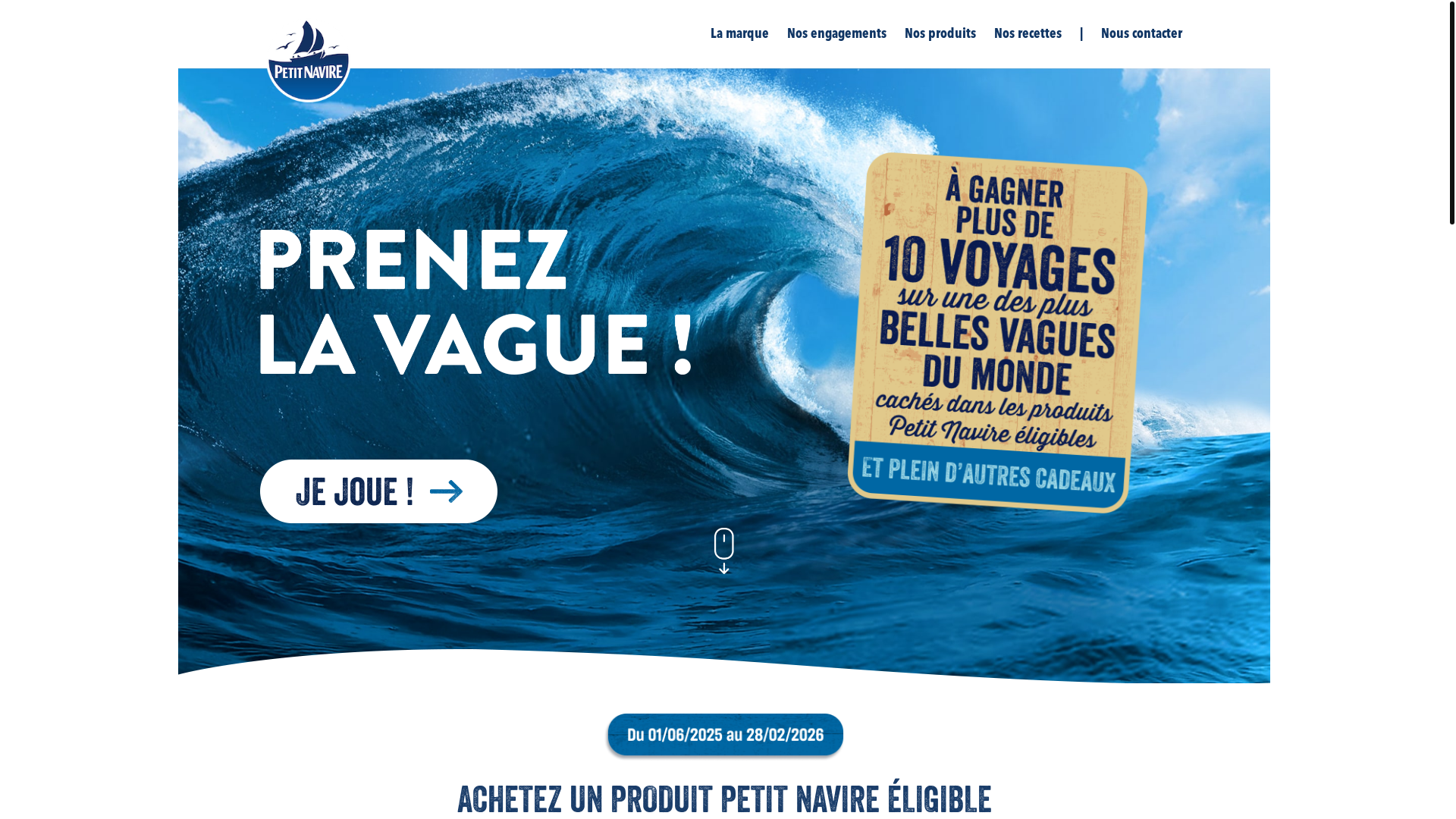 website screenshot of https://petit-navire-2024254.pages.dev/