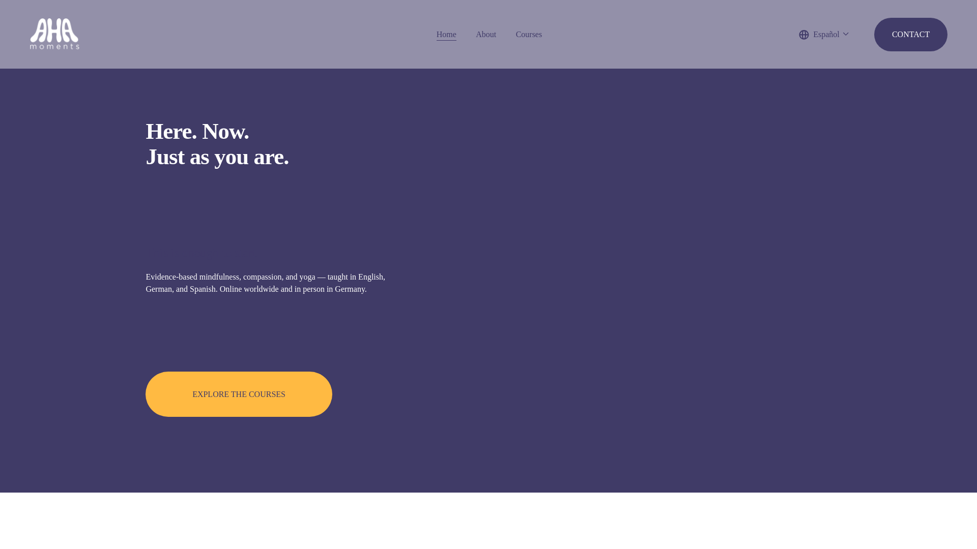 website screenshot of https://aha-moments.co