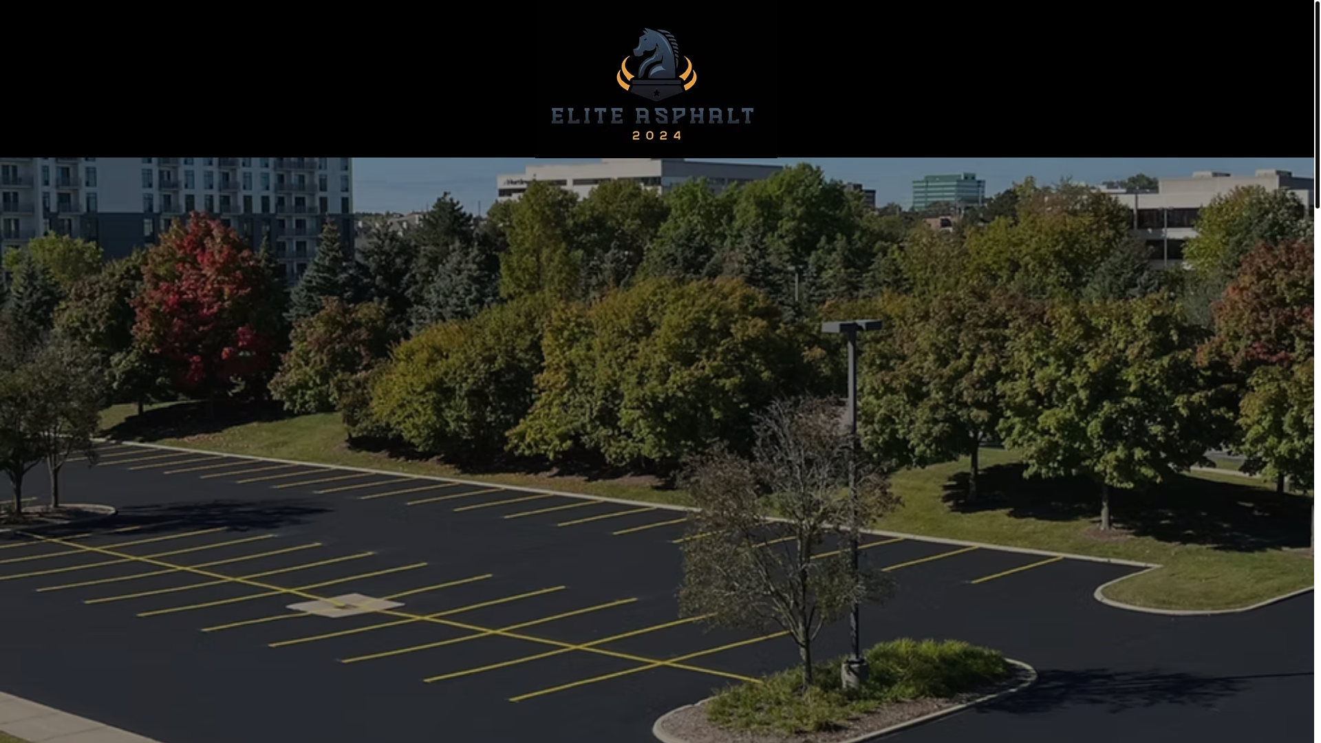 website screenshot of https://eliteasphaltmi.com/