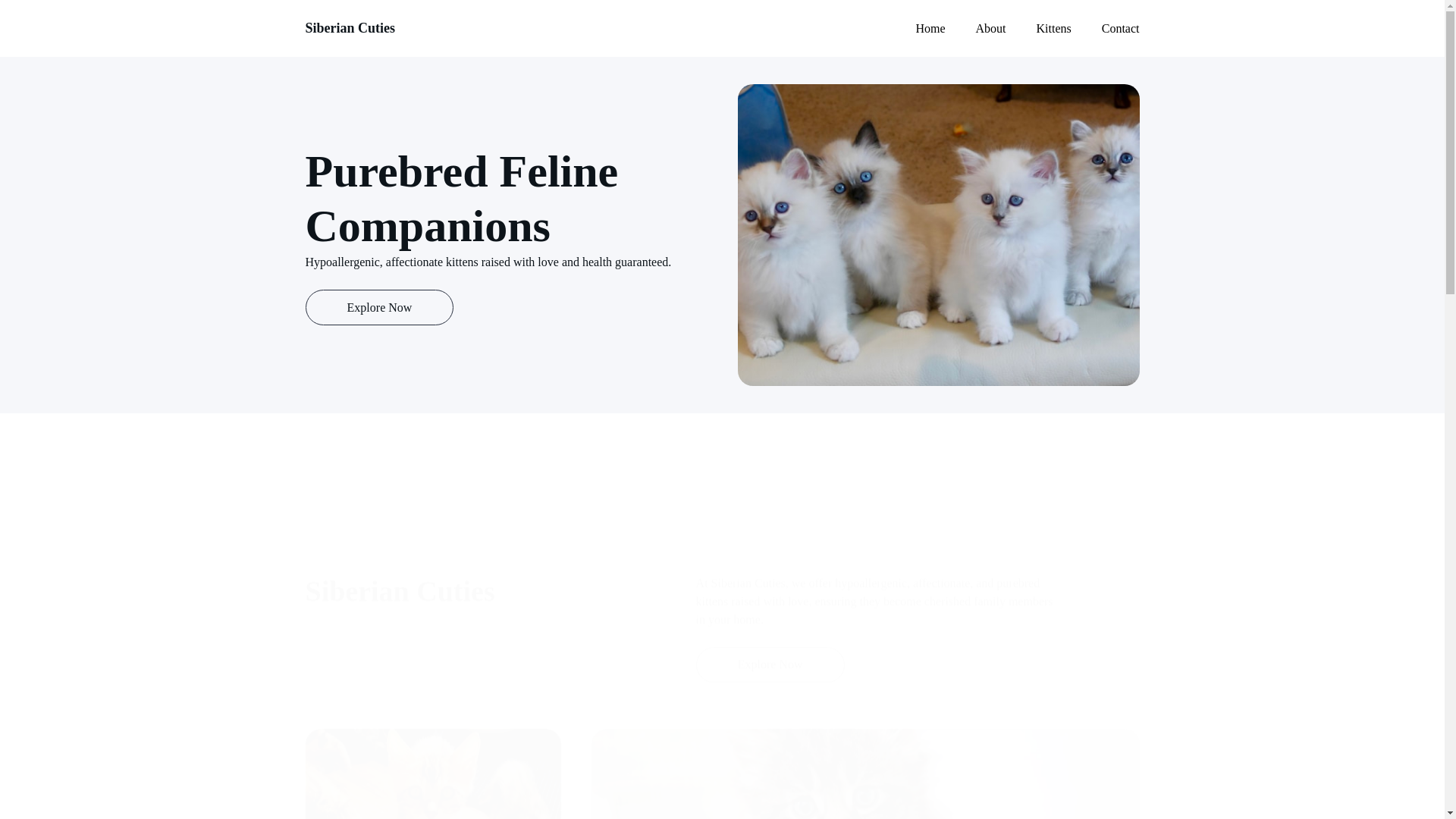 website screenshot of https://siberiancutes.net/