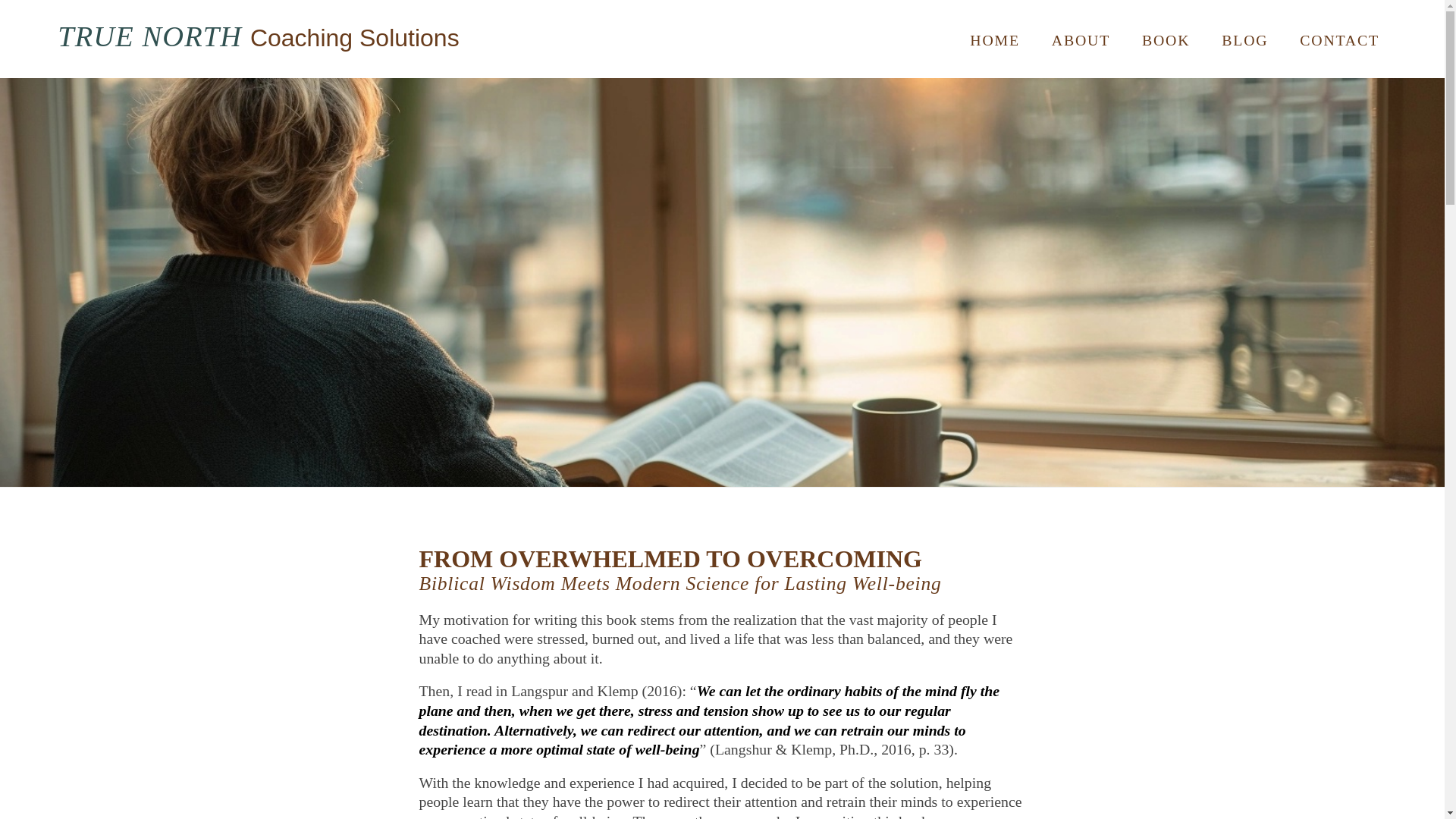 website screenshot of https://truenorthcoachingsolutions.net/