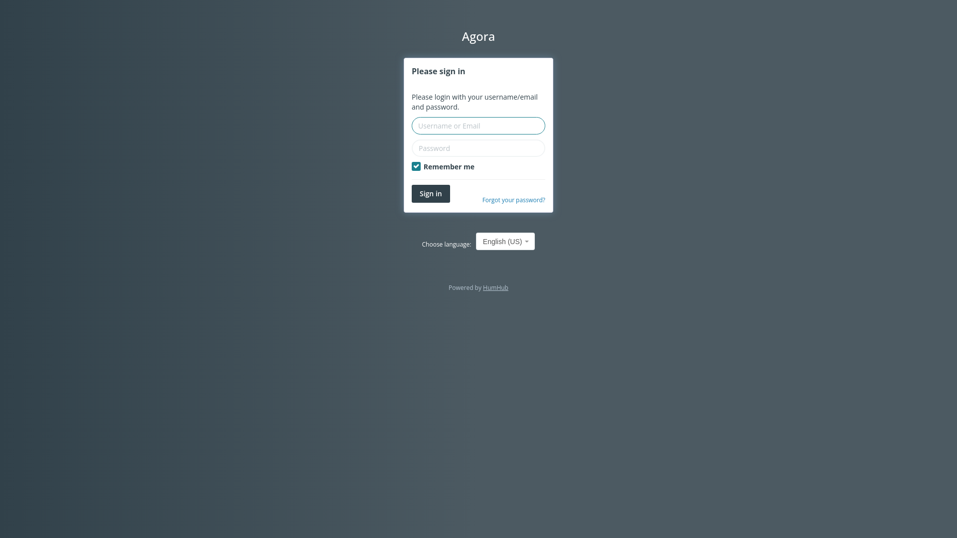 website screenshot of https://agoraforum.net/
