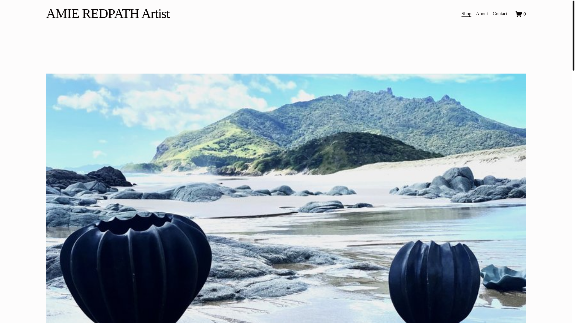 website screenshot of https://amieredpathartist.co.nz/