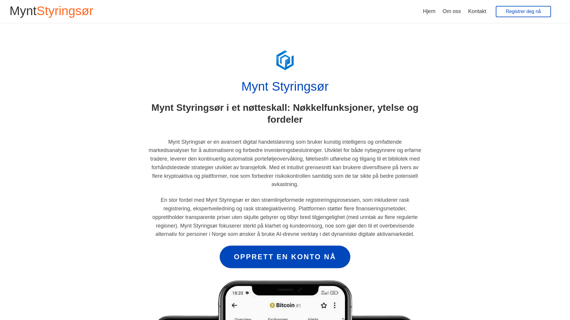 website screenshot of https://myntstyringsorai.com/