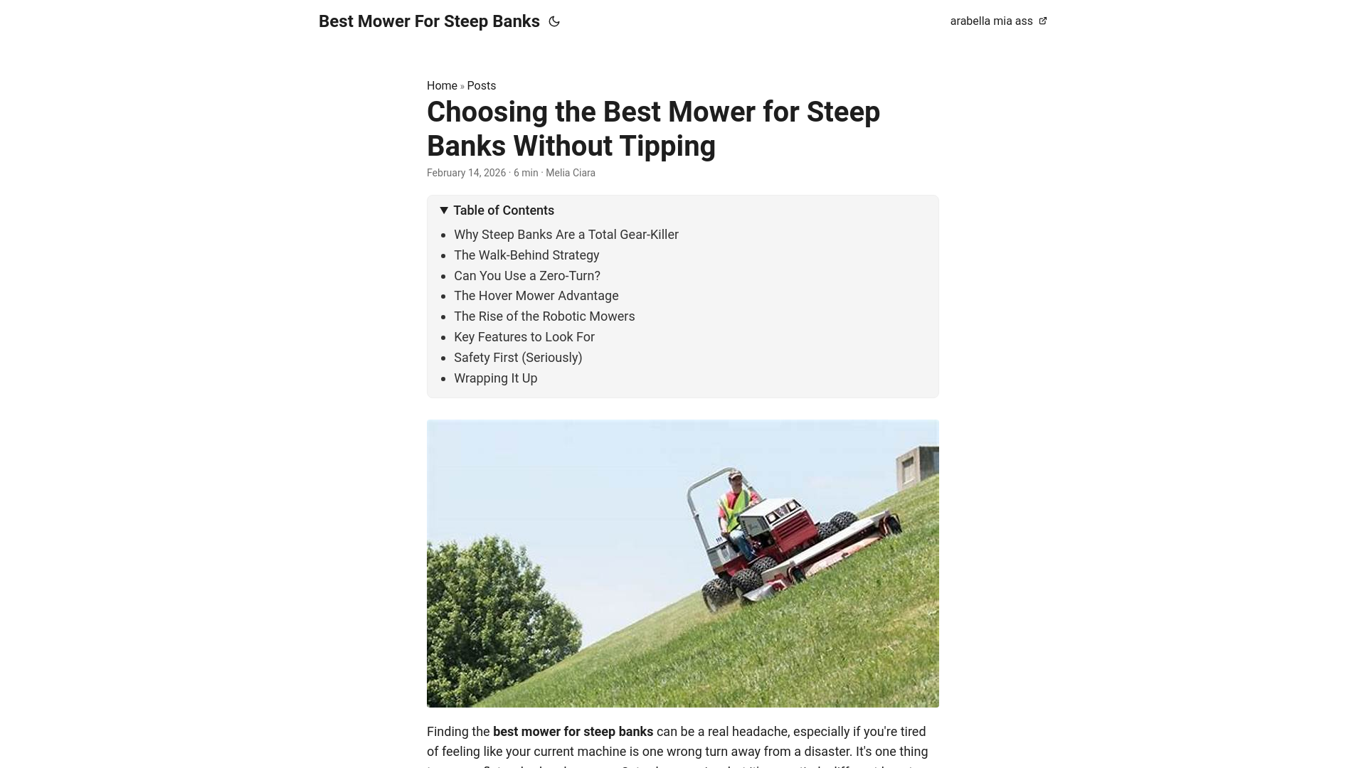 website screenshot of https://best-mower-for-steep-banks.pages.dev/