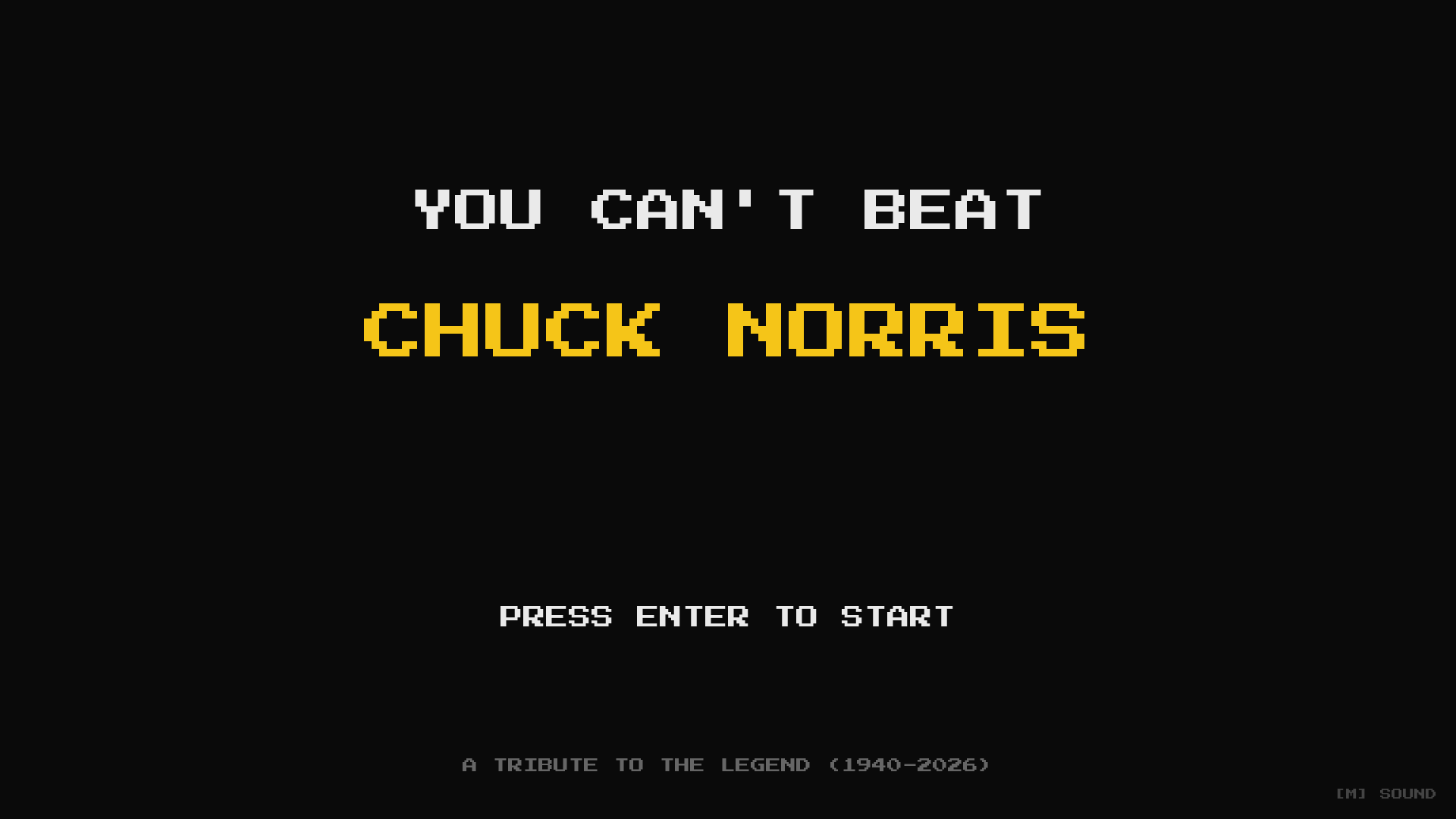 website screenshot of https://chuck-norris-tribute.pages.dev/