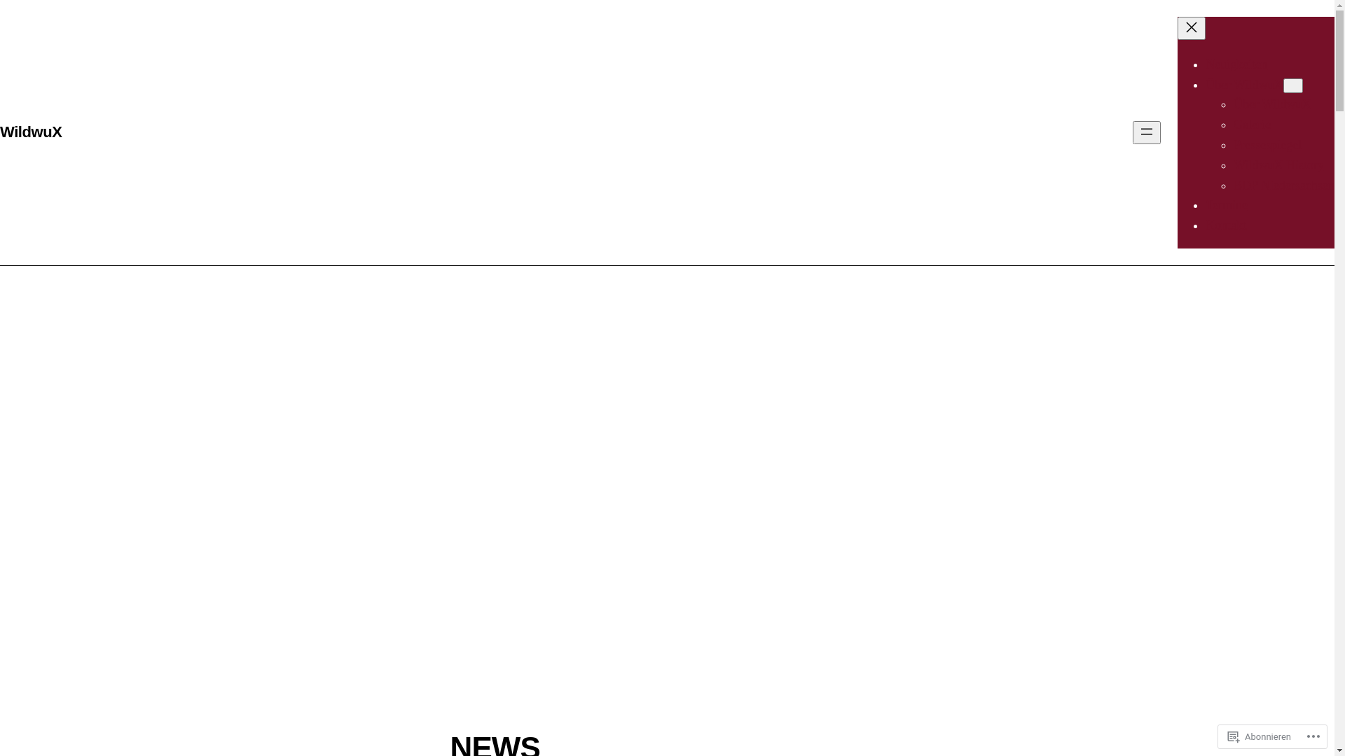 website screenshot of https://wirkaufendeineseele.com/