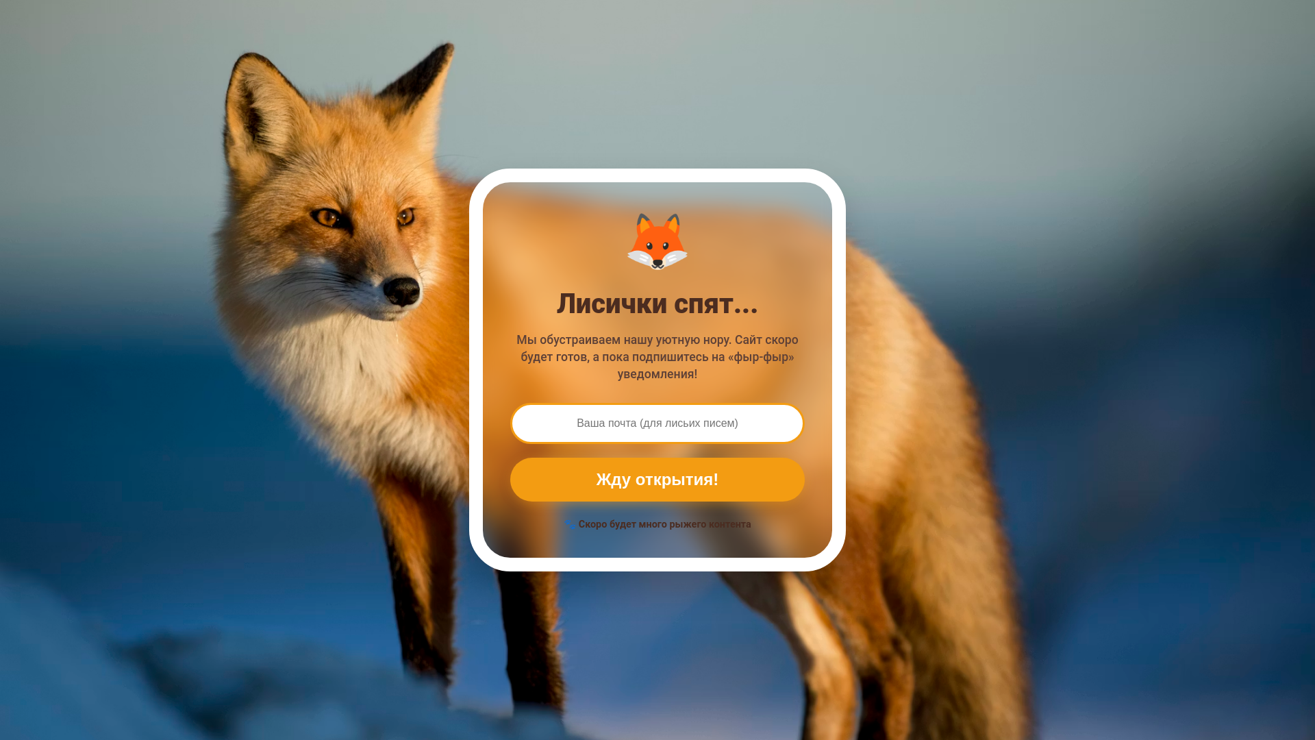 website screenshot of https://merzota.top/