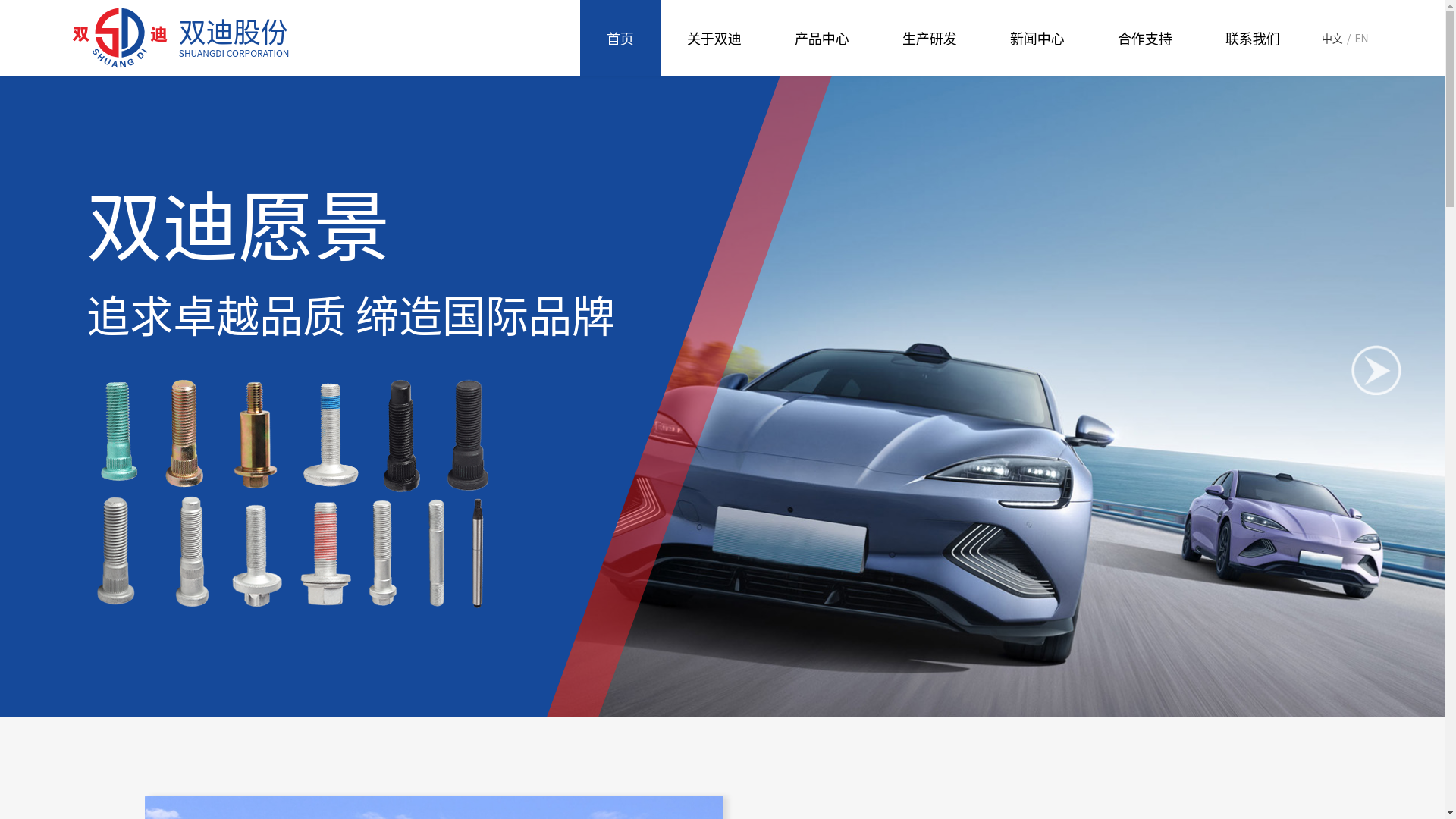 website screenshot of https://shuangdi-group.com/