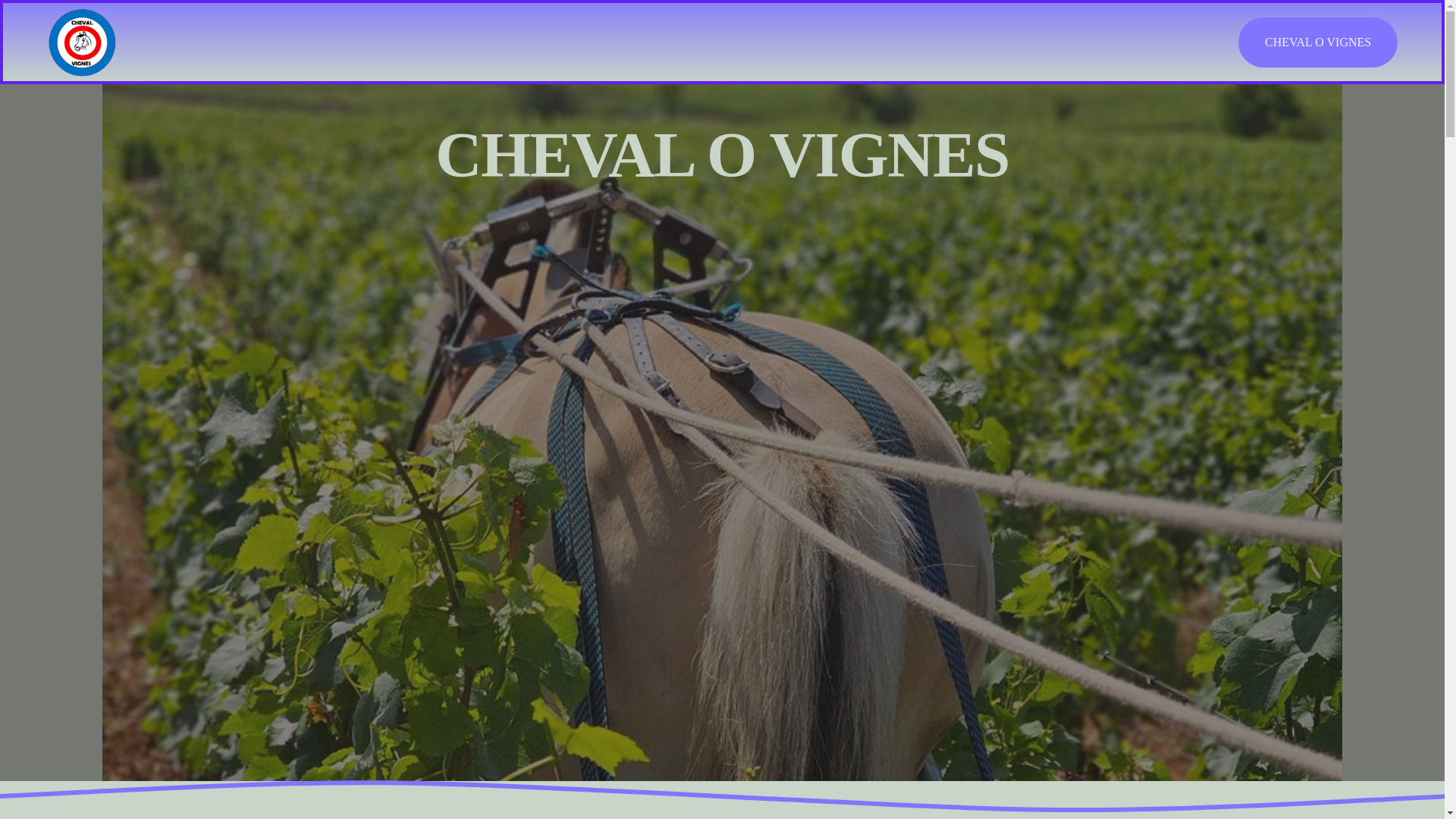 website screenshot of https://chevalovignes.com/