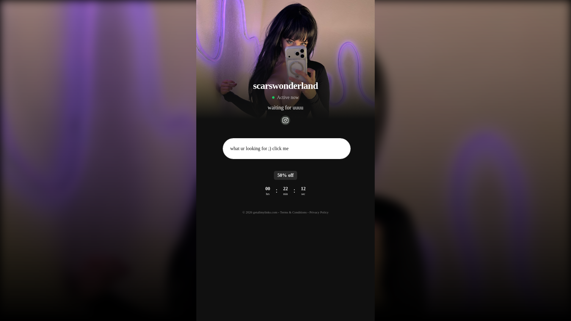 website screenshot of https://scars-wonderland.com/