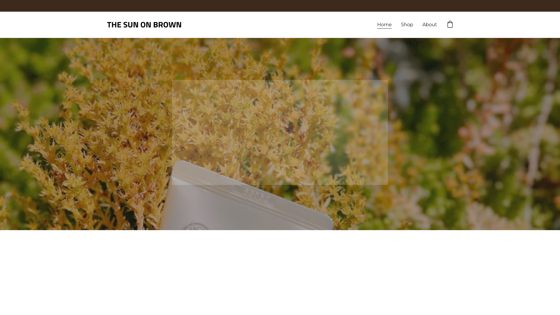 website screenshot of https://thesunonbrown.com