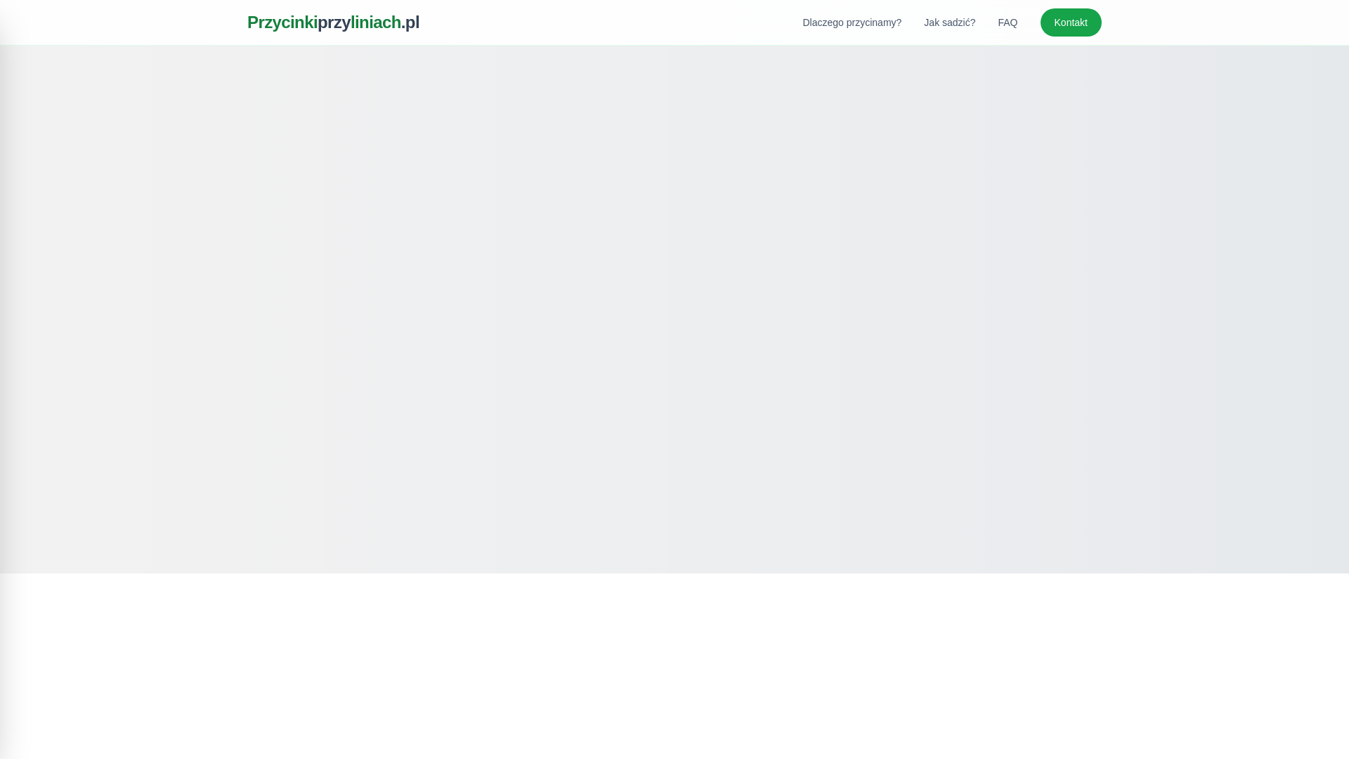 website screenshot of https://przycinkiprzyliniach.pl/