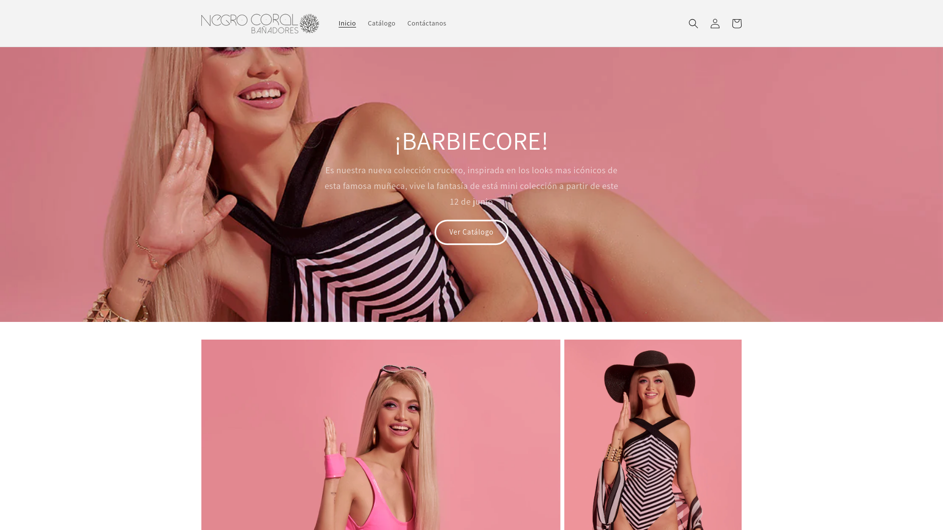 website screenshot of https://negrocoral.mx/