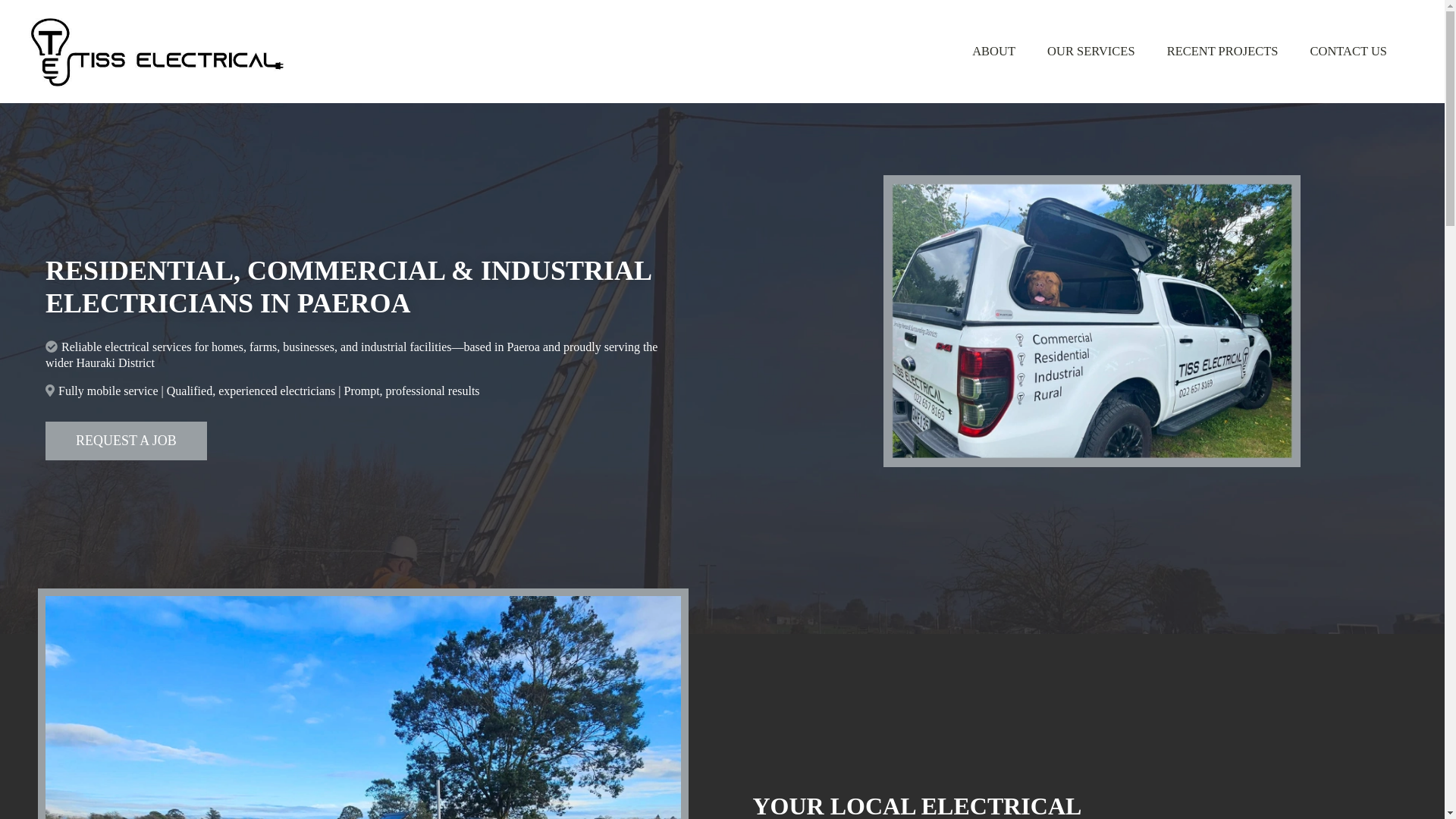 website screenshot of https://tisselectrical.co.nz/