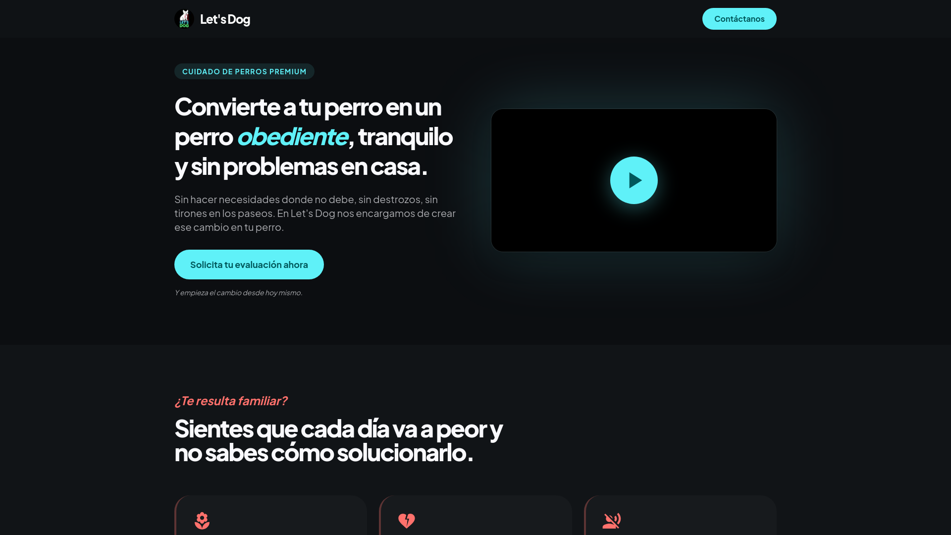 website screenshot of https://letsdogvzla.com/