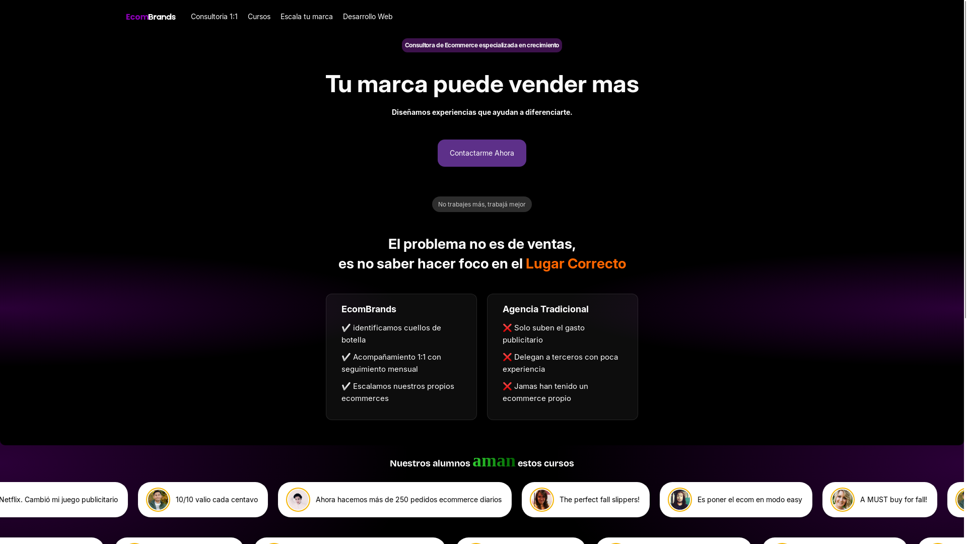 website screenshot of https://ecombrands.io/
