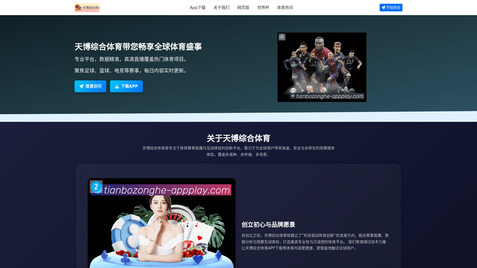 website screenshot of https://tianbozonghe-appplay.com/