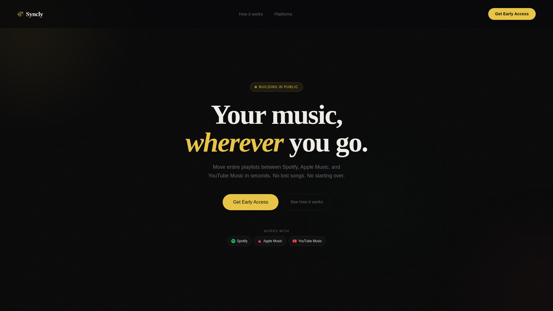 website screenshot of https://synclyy.xyz/