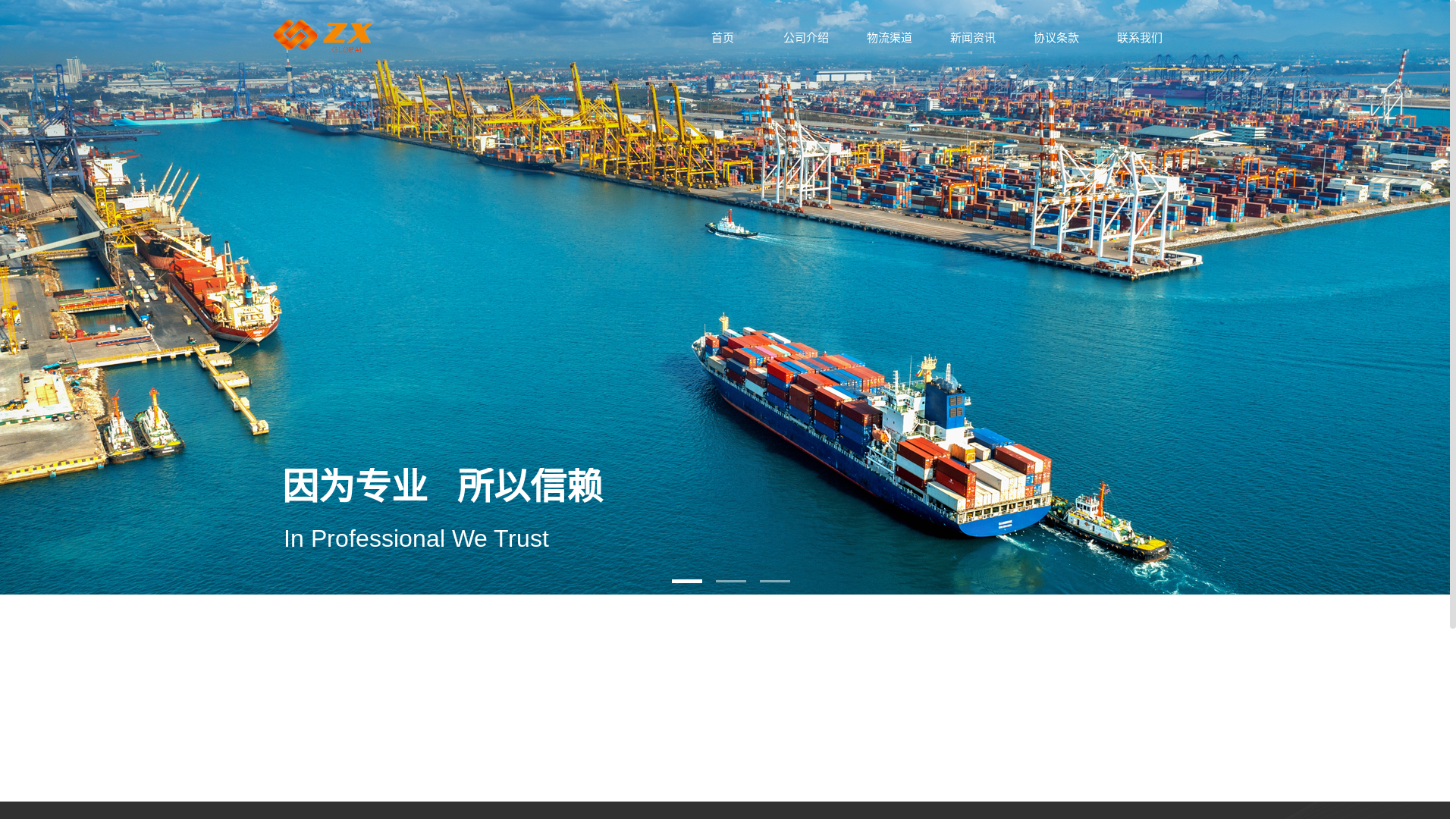 website screenshot of https://zhanxin-global.com/