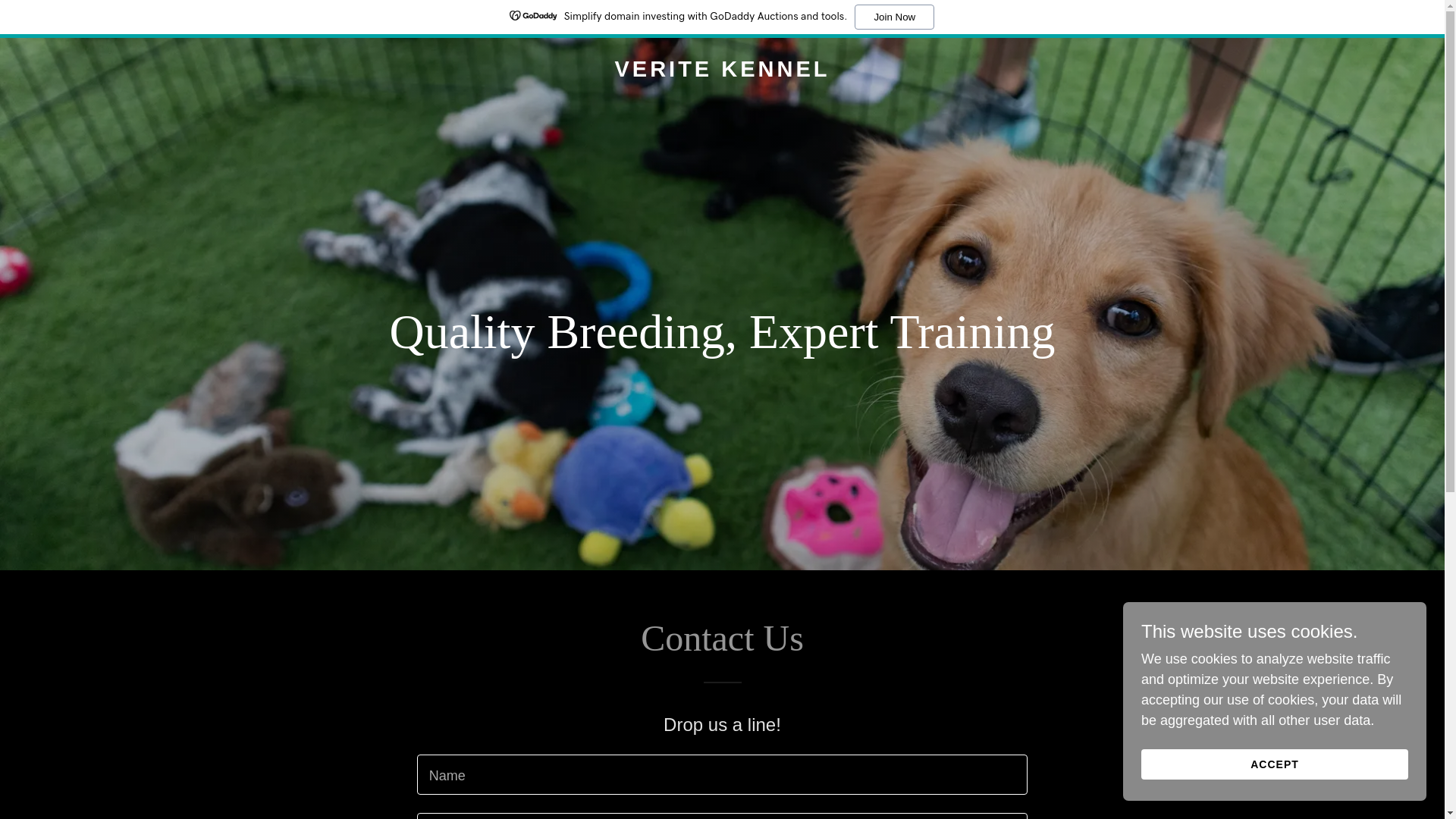 website screenshot of https://veritekennel.com/