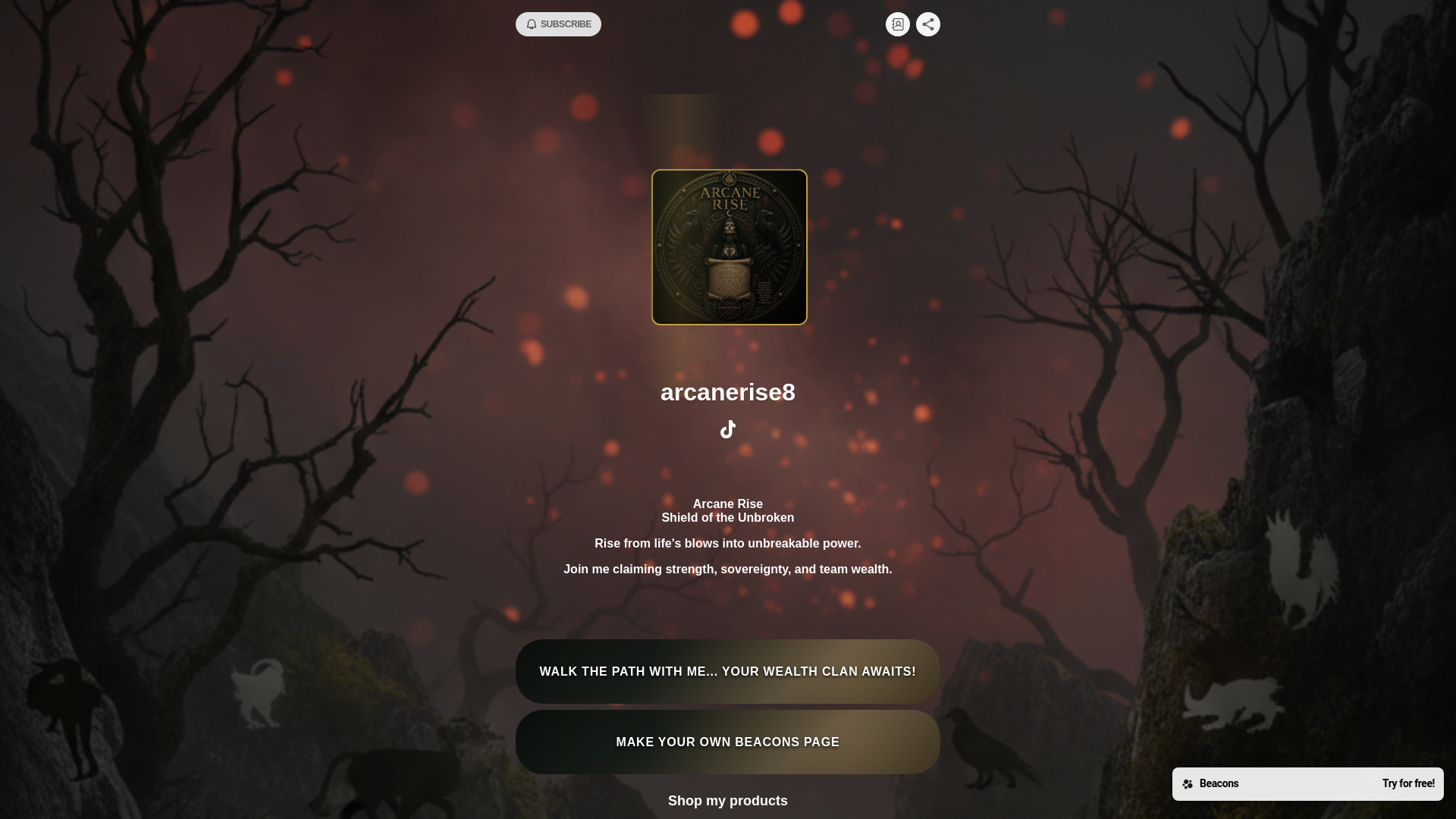 website screenshot of https://arcanerise8.com/