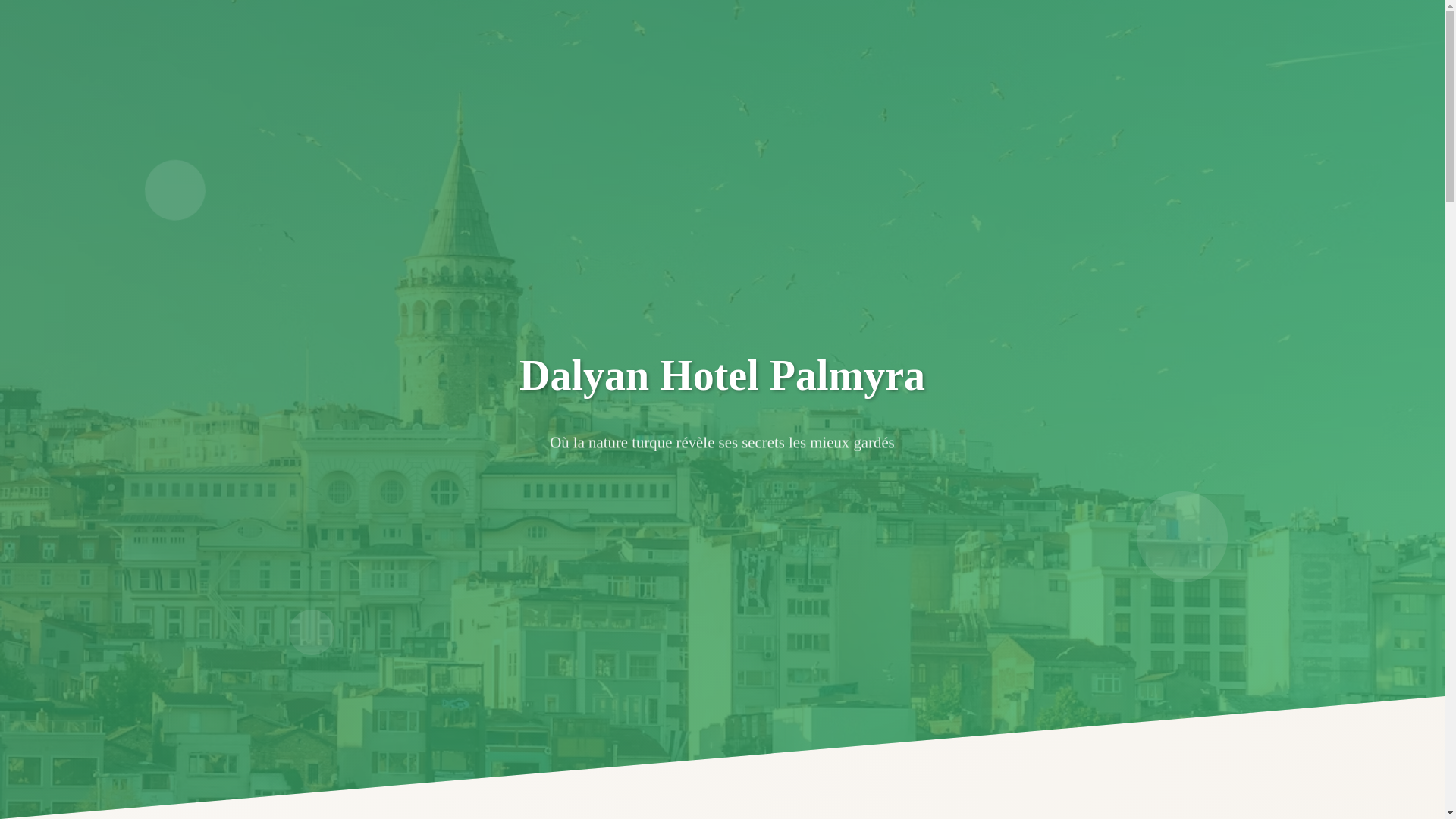 website screenshot of https://dalyanhotelpalmyra0a.pages.dev/
