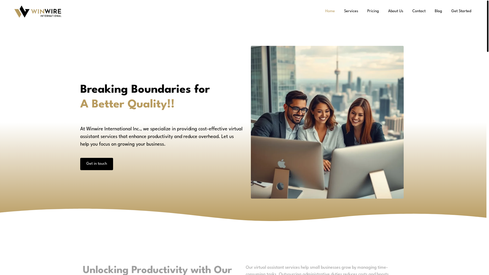 website screenshot of https://startwinwireinternational.com/