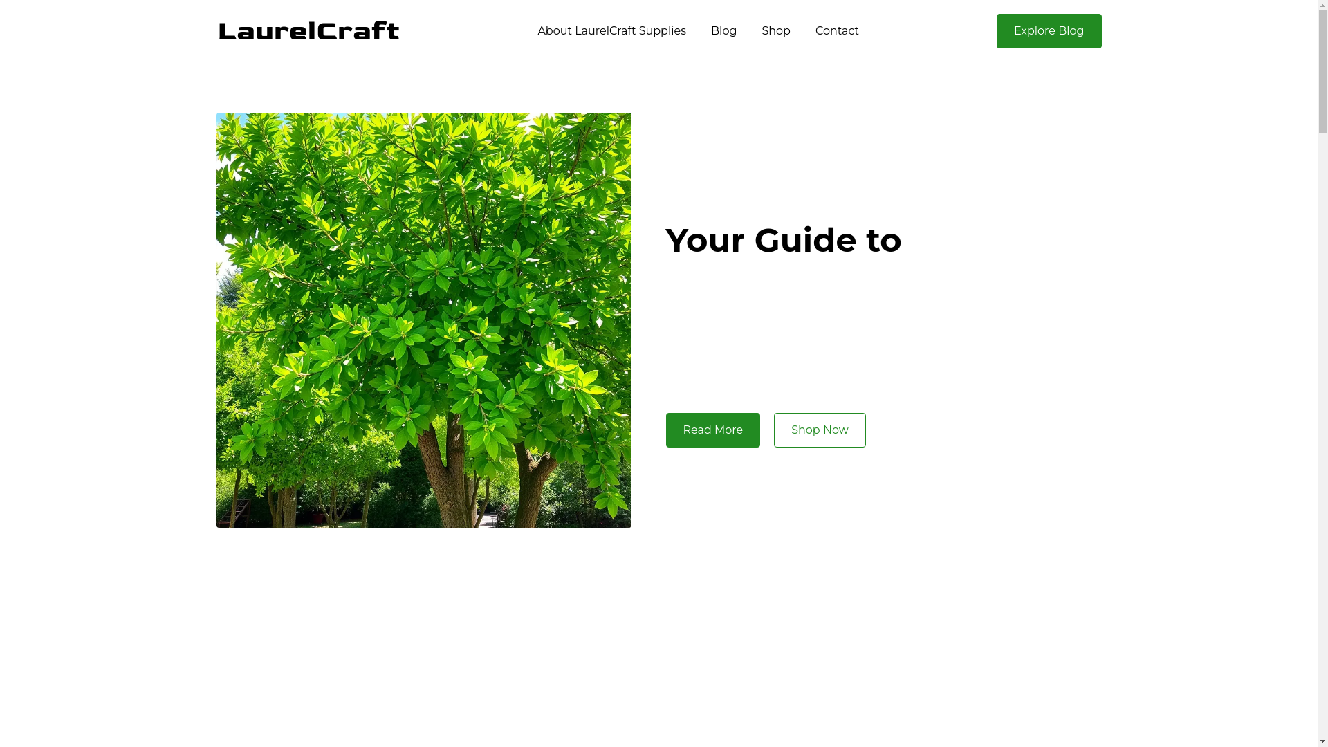 website screenshot of https://crendilomath.ru/