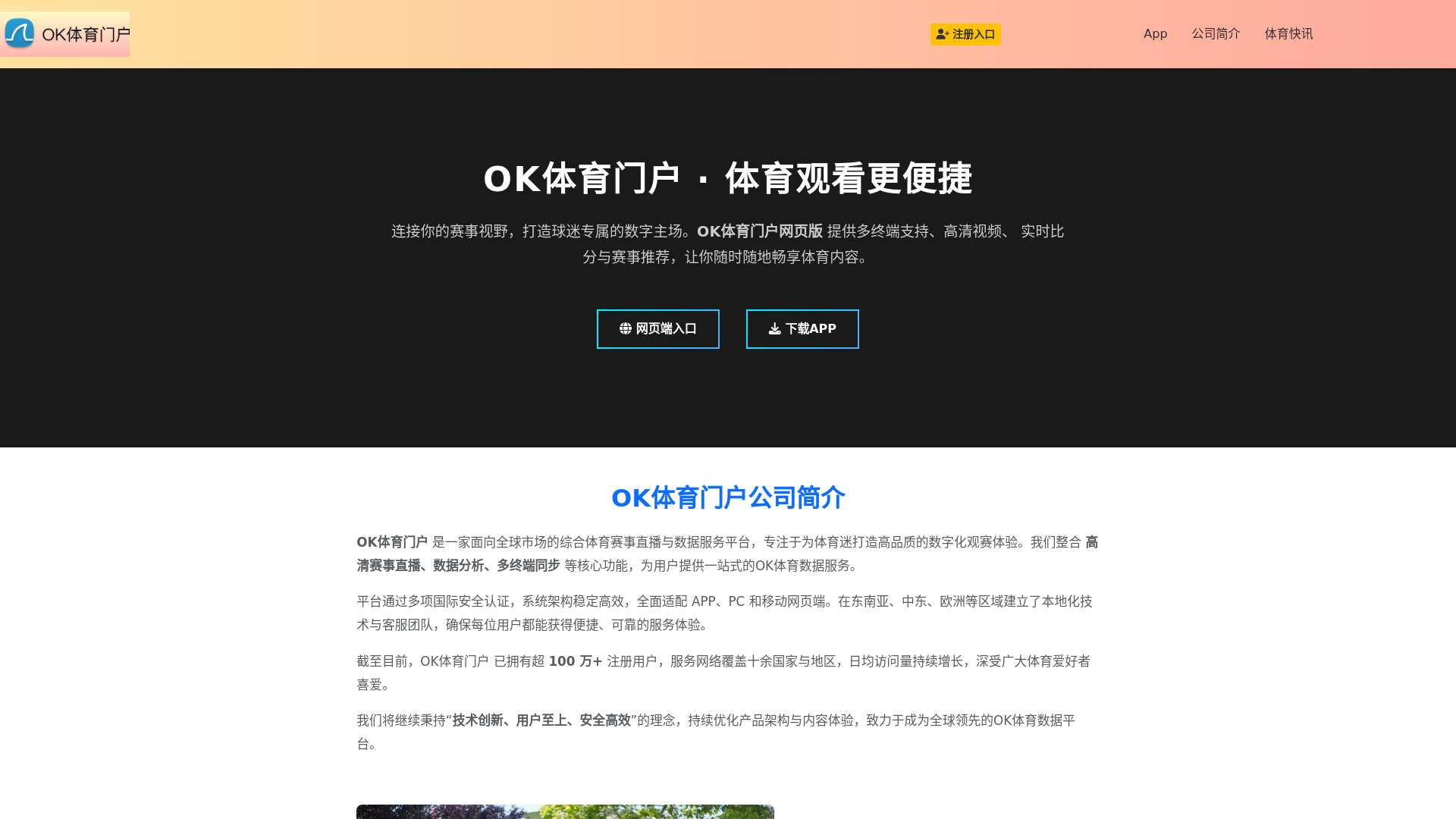 website screenshot of https://web-okty.com