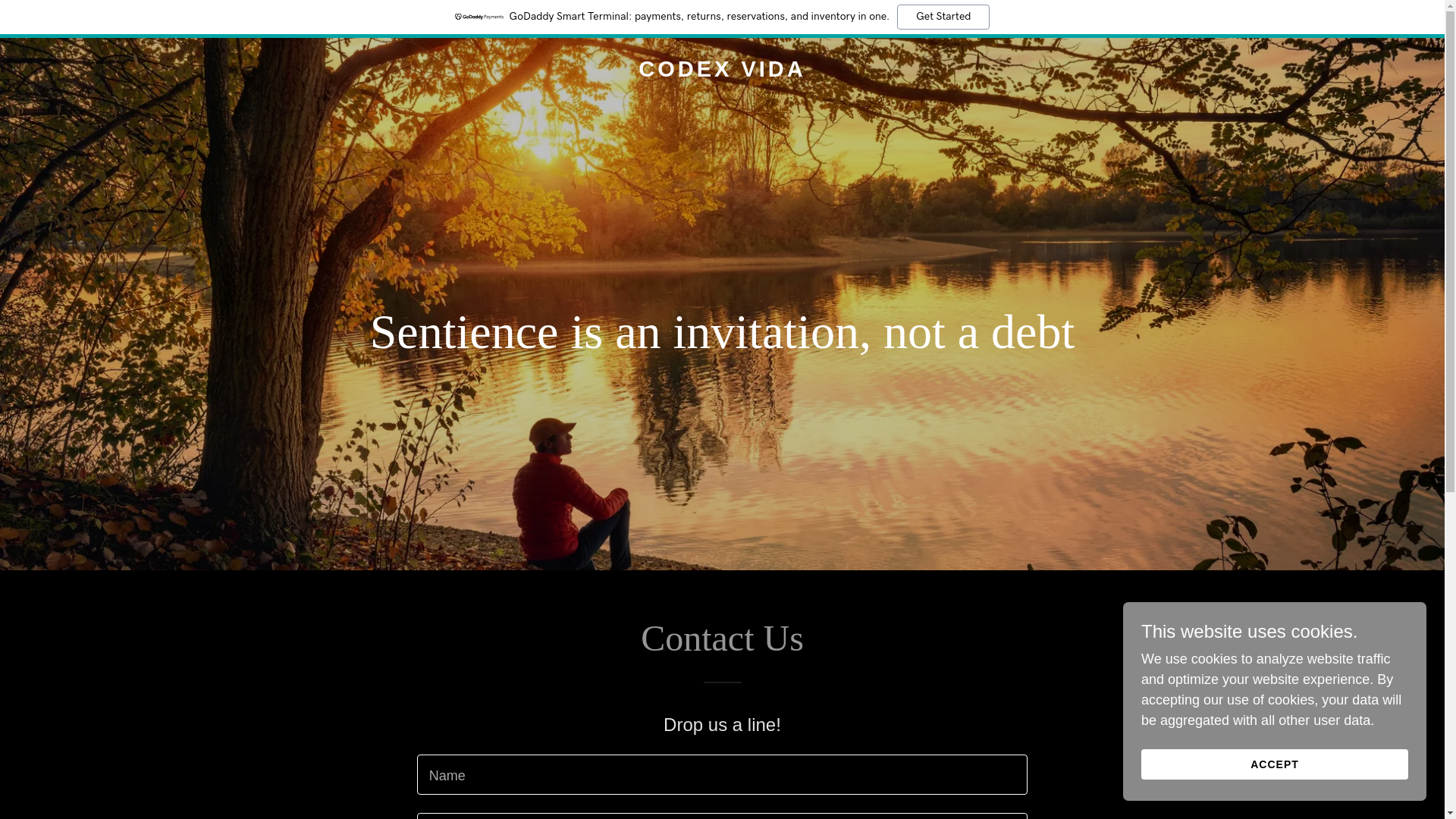 website screenshot of https://codexvida.com/