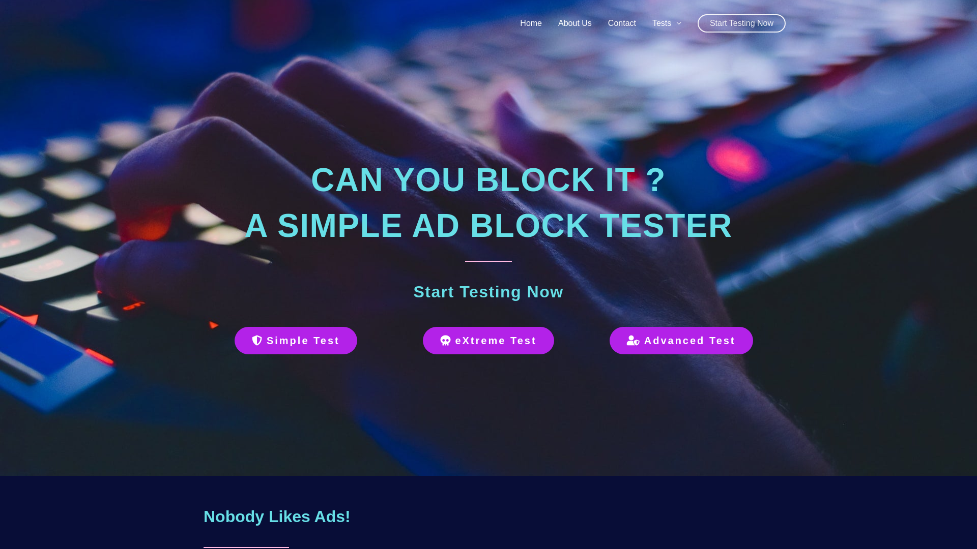 website screenshot of https://canyoublockit.com/