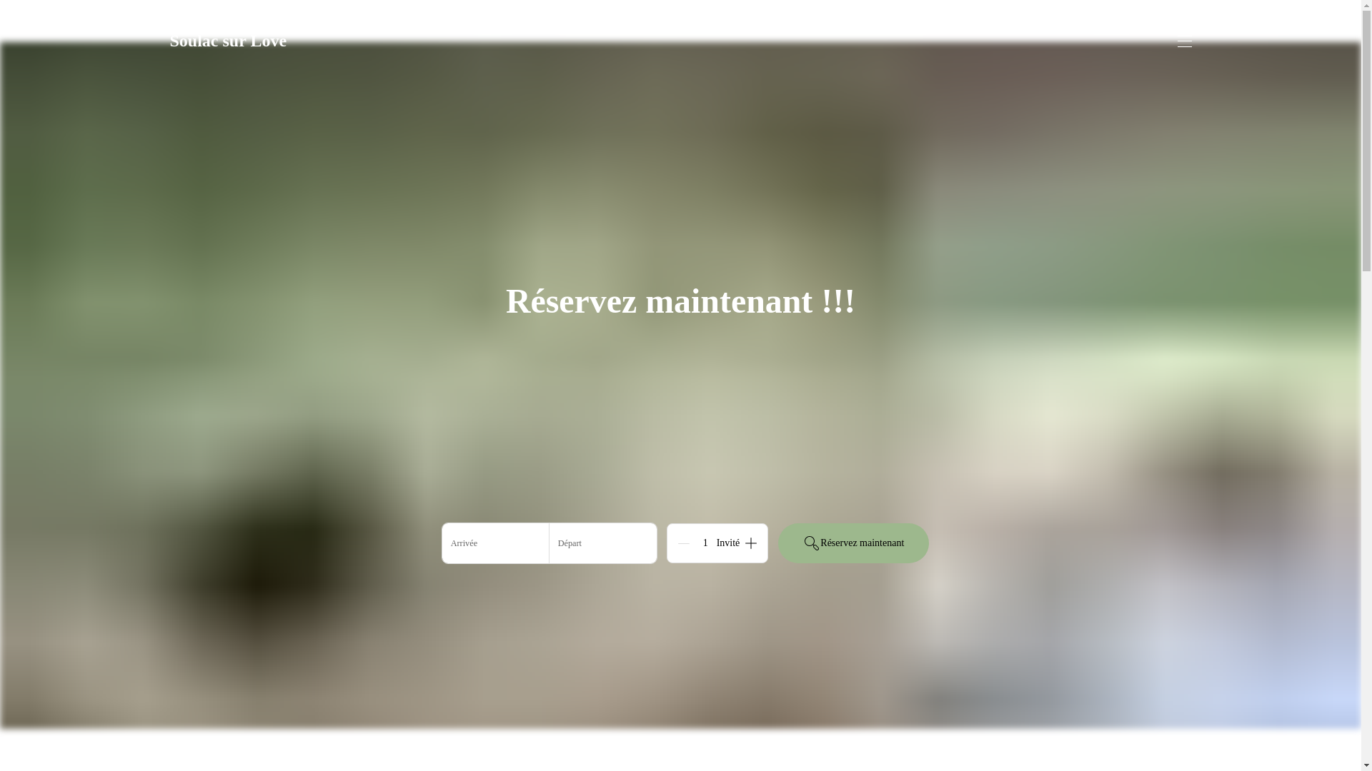 website screenshot of https://soulac-sur-love.com/
