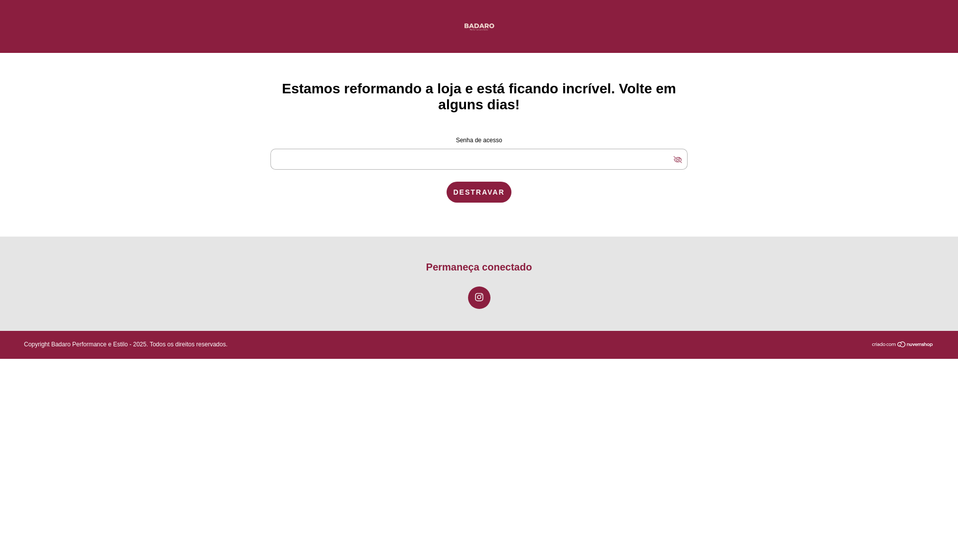 website screenshot of https://badarofit.com.br/