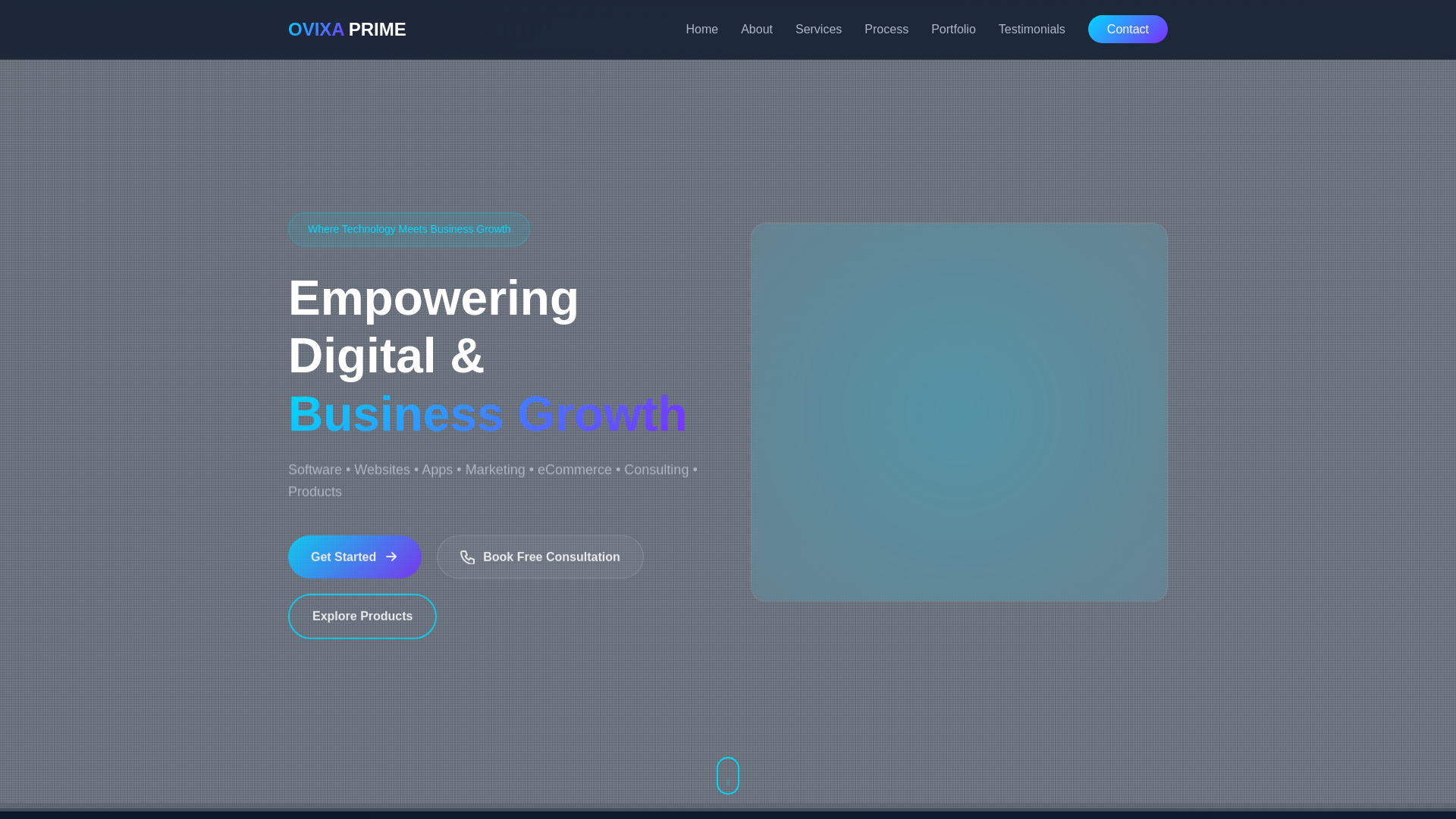 website screenshot of https://ovixaprime.com/