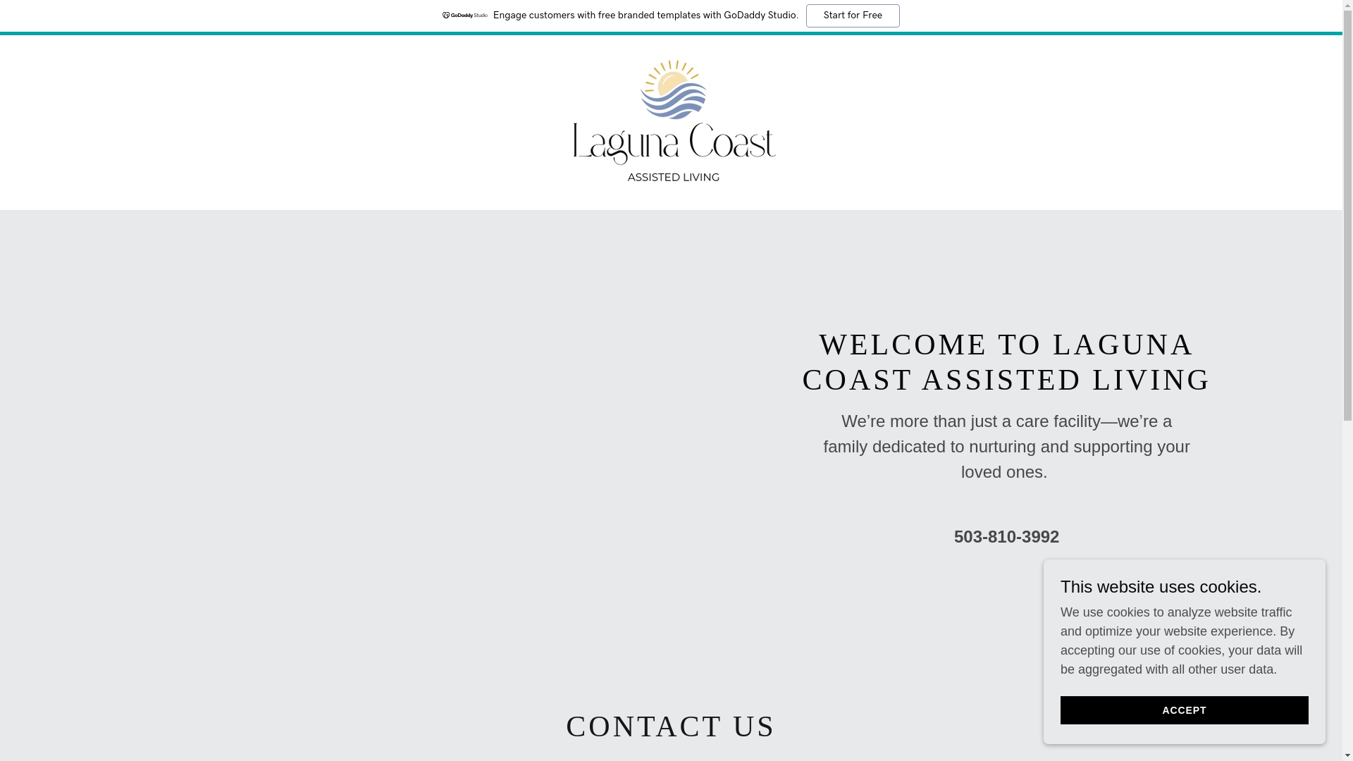 website screenshot of https://lagunacoastliving.care/