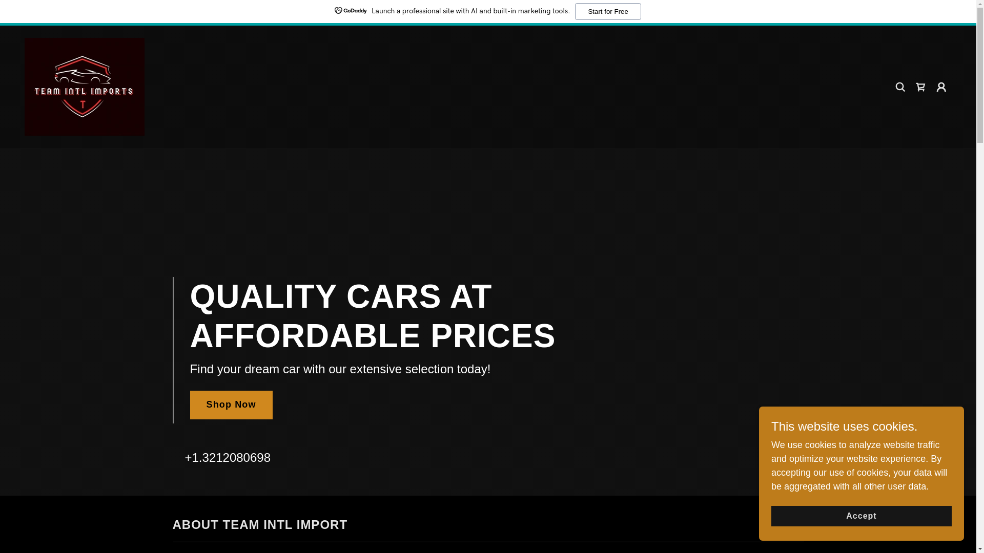 website screenshot of https://teamintlimports.com/