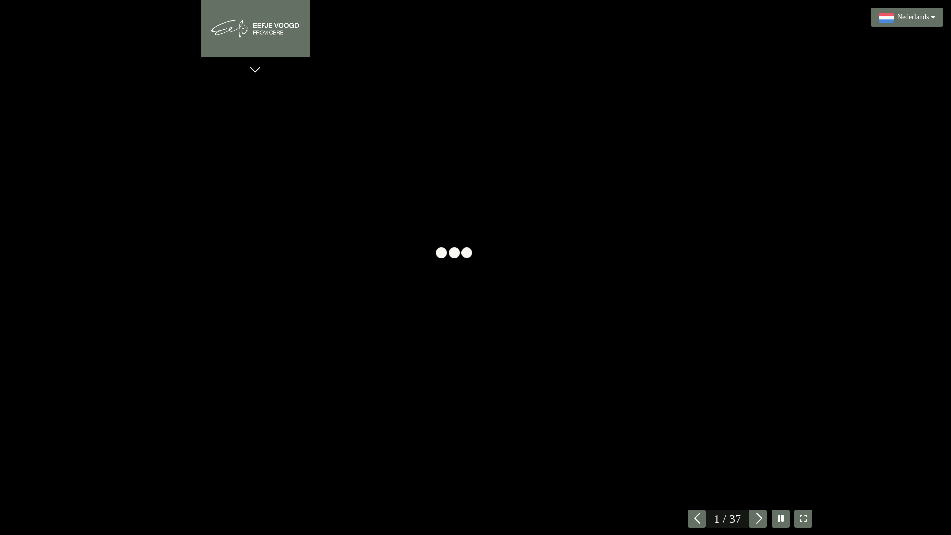 website screenshot of https://amstelveenseweg611c.nl/