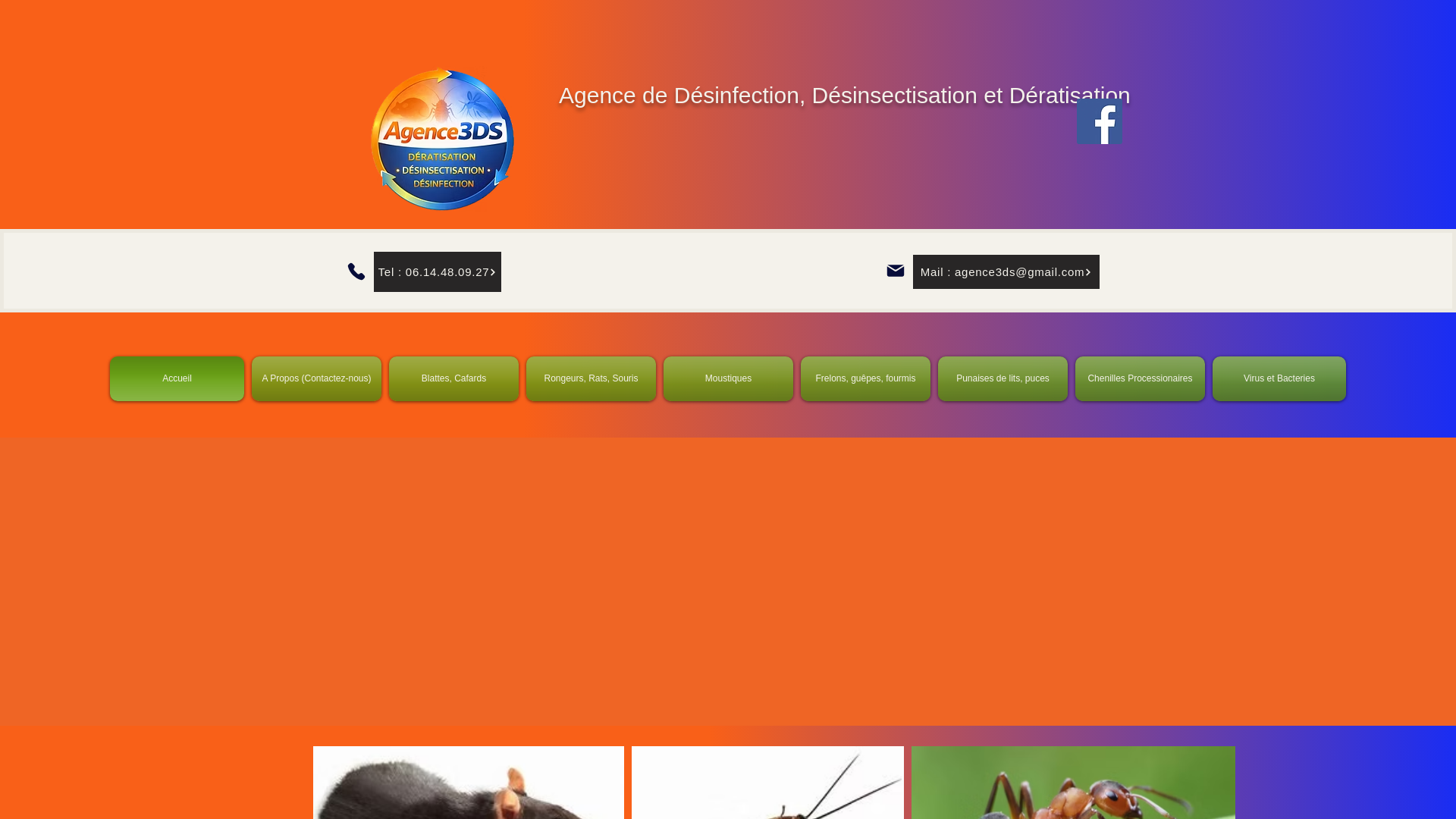 website screenshot of https://agence3ds.fr/
