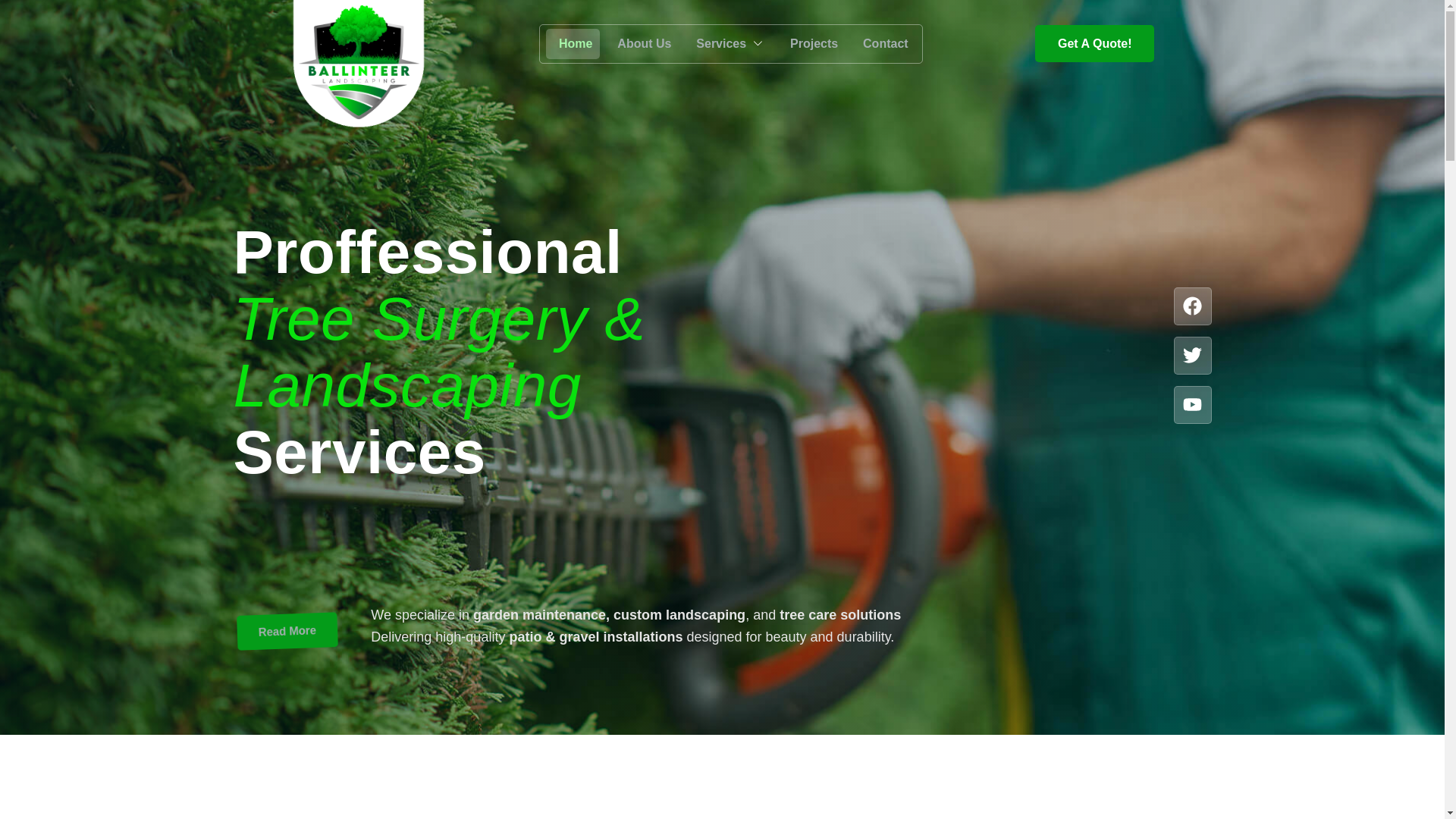 website screenshot of https://ballinteerlandscaping.ie/