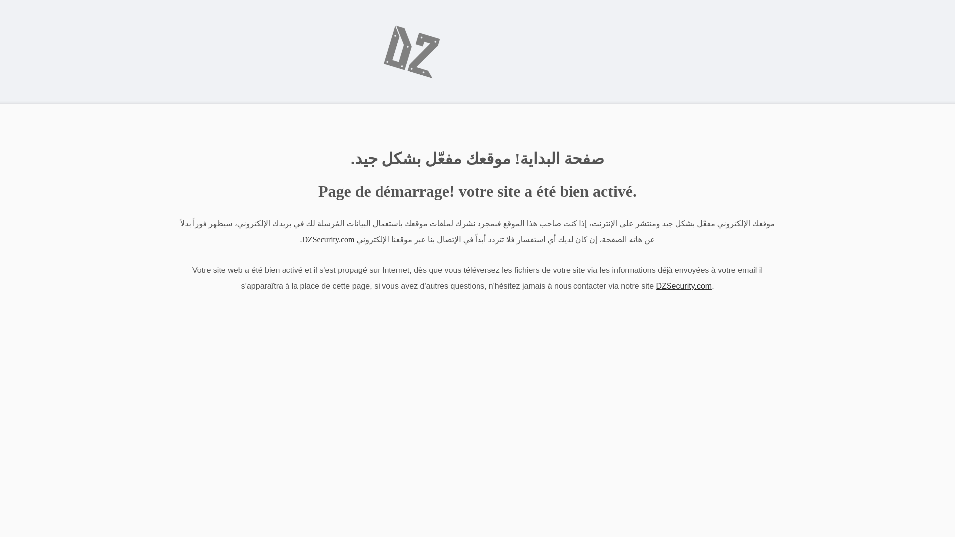 website screenshot of https://dzceram.com/