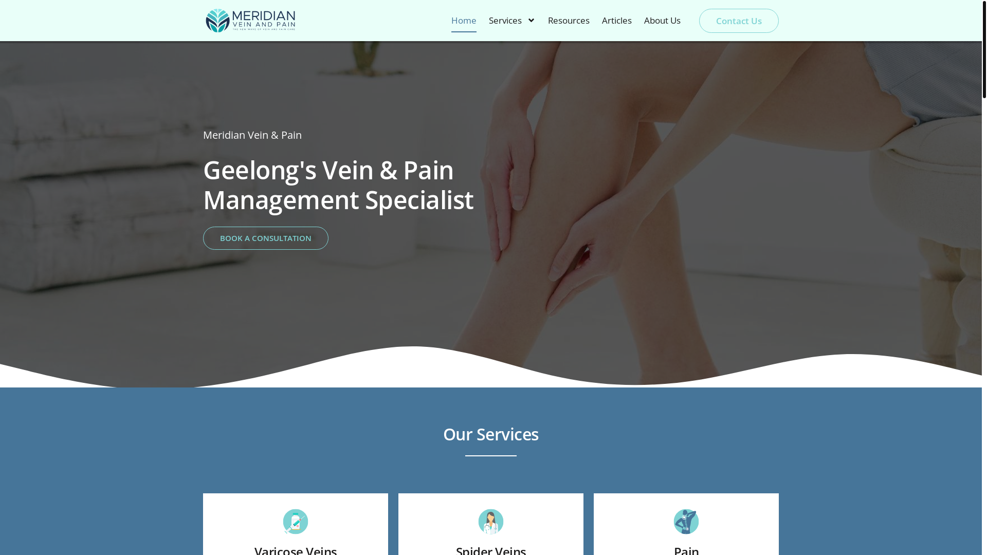 website screenshot of https://meridianveinandpain.online/