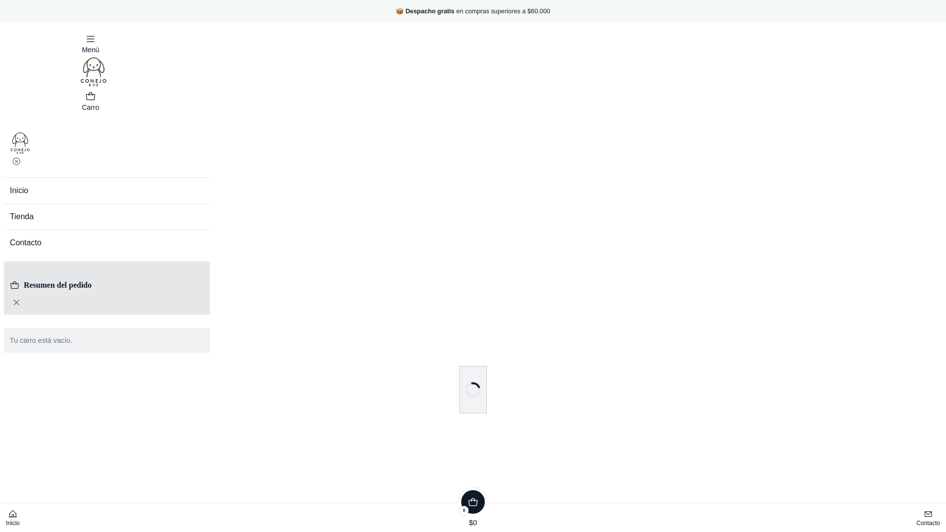 website screenshot of https://conejoandco.cl/