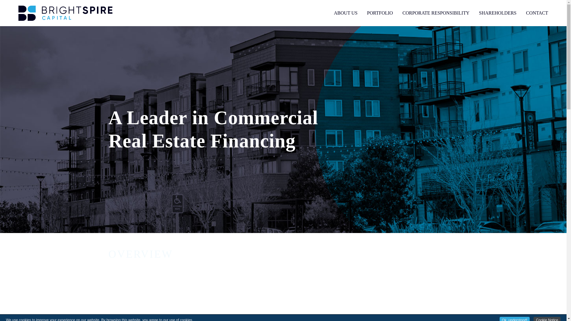 website screenshot of http://brightspire.com/