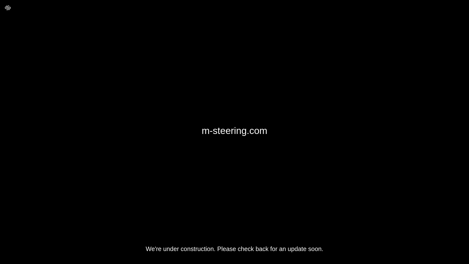 website screenshot of https://m-steering.com/