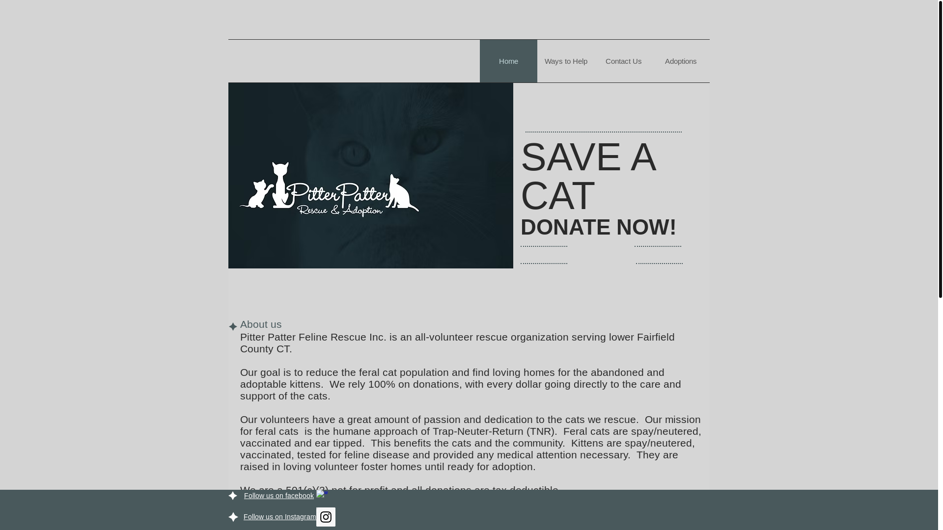website screenshot of https://pitterpatterfelinerescue.com/