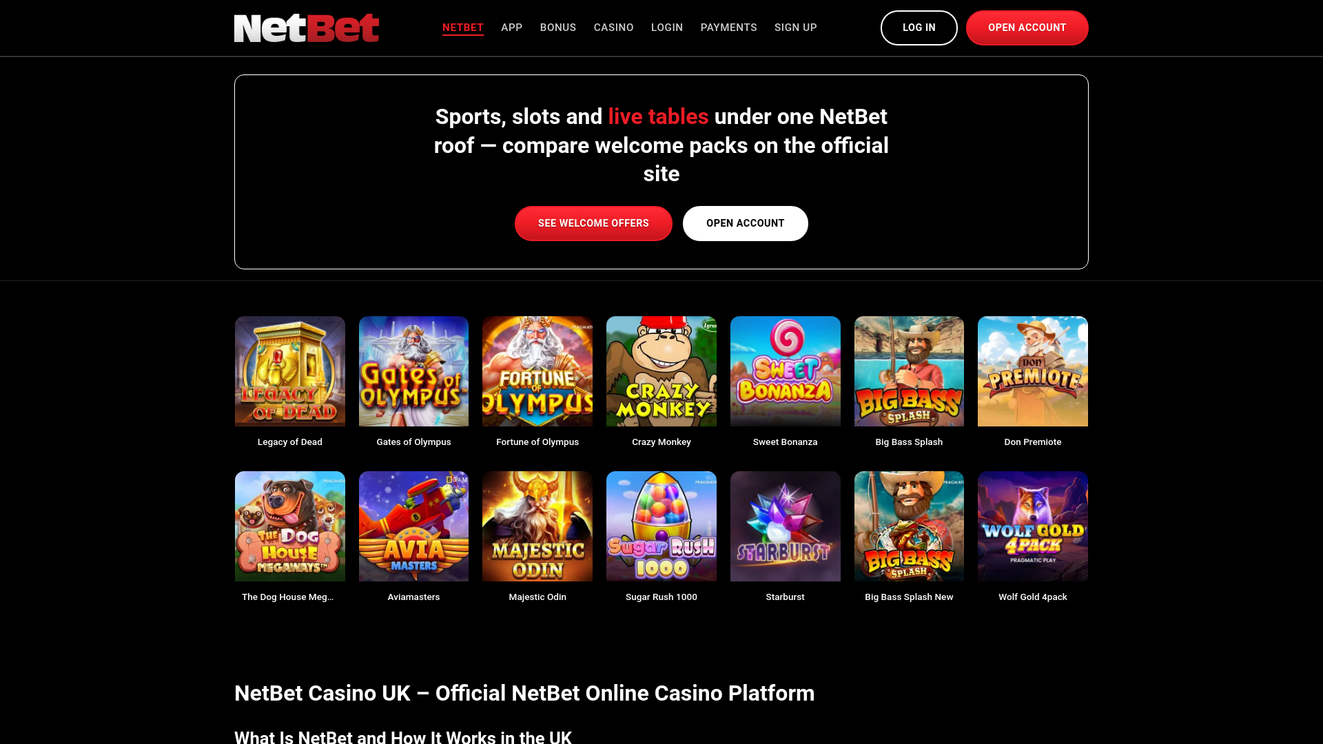 website screenshot of https://nets-bets.com