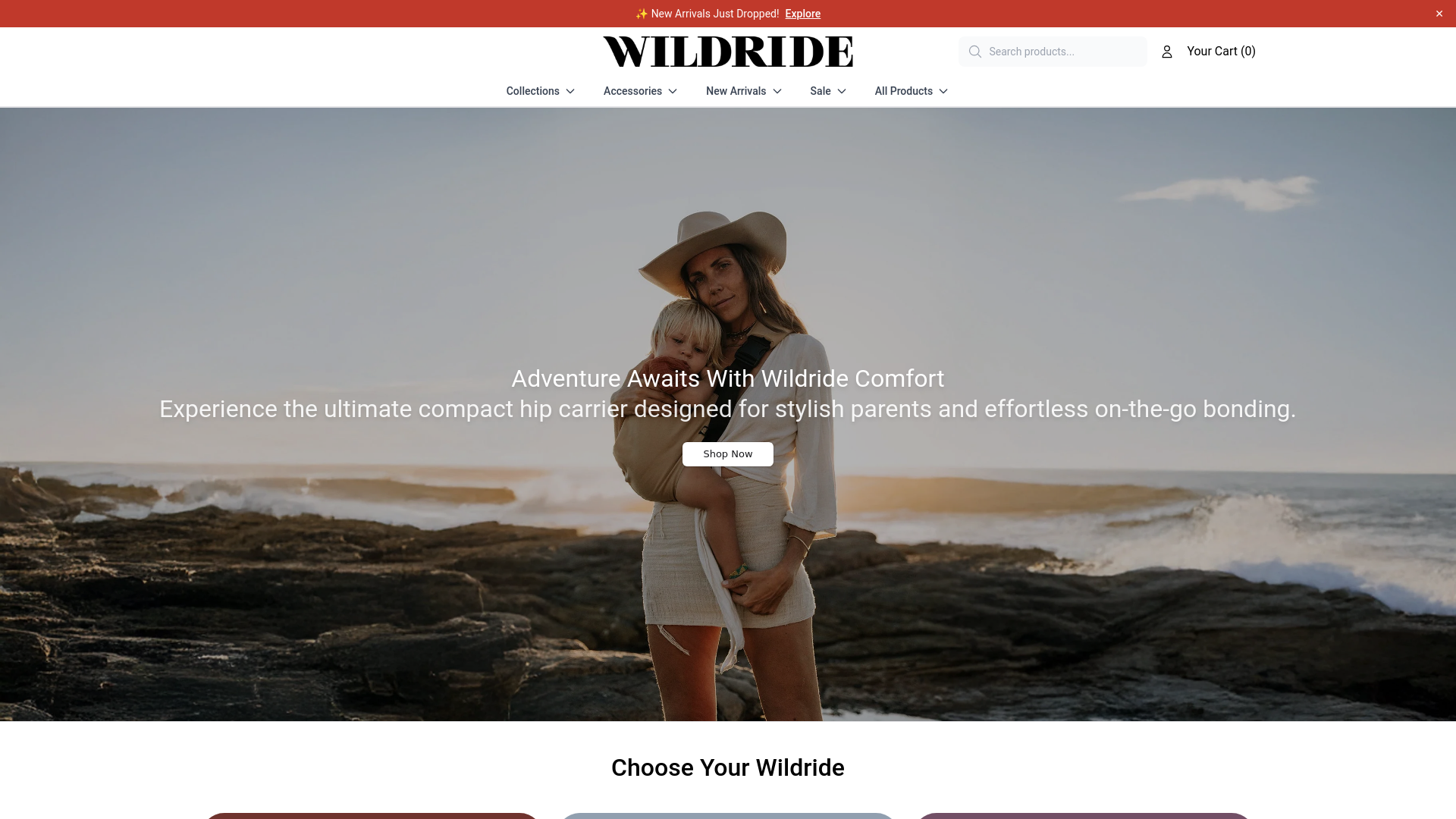 website screenshot of https://wildridekidsstore.shop/