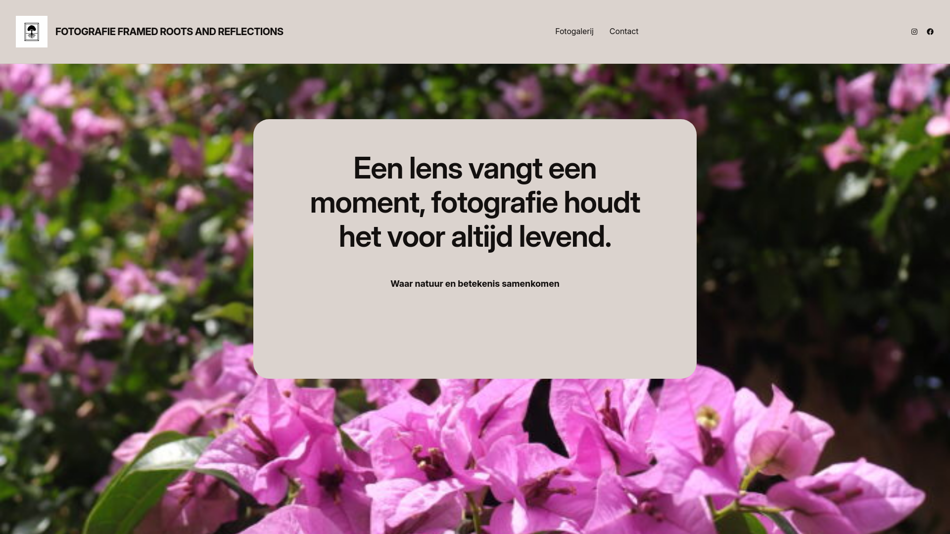 website screenshot of https://framedrootsandreflections.nl/